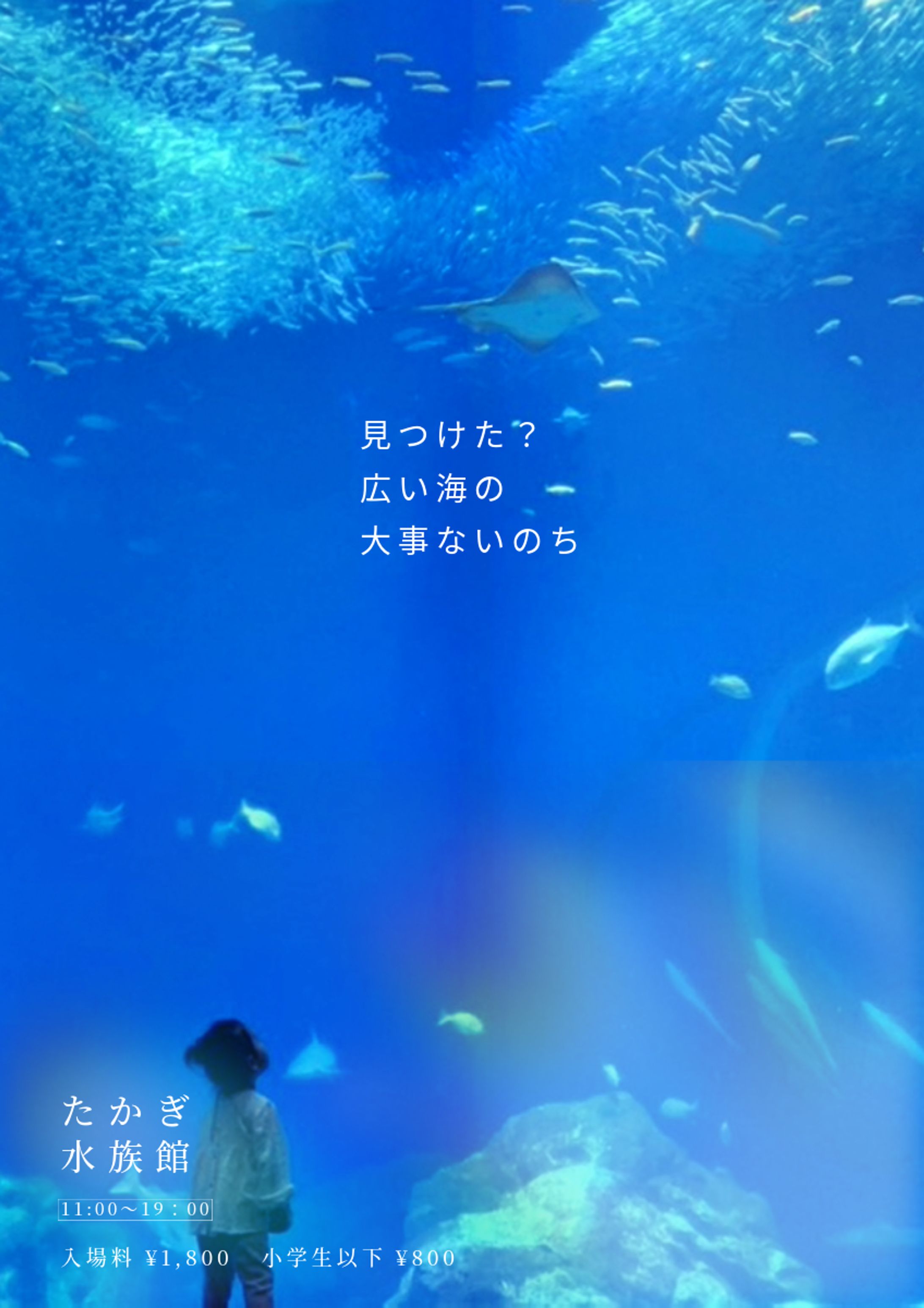 たかぎ水族館-1