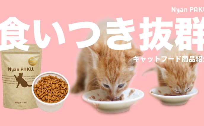 YouTube動画のサムネイル