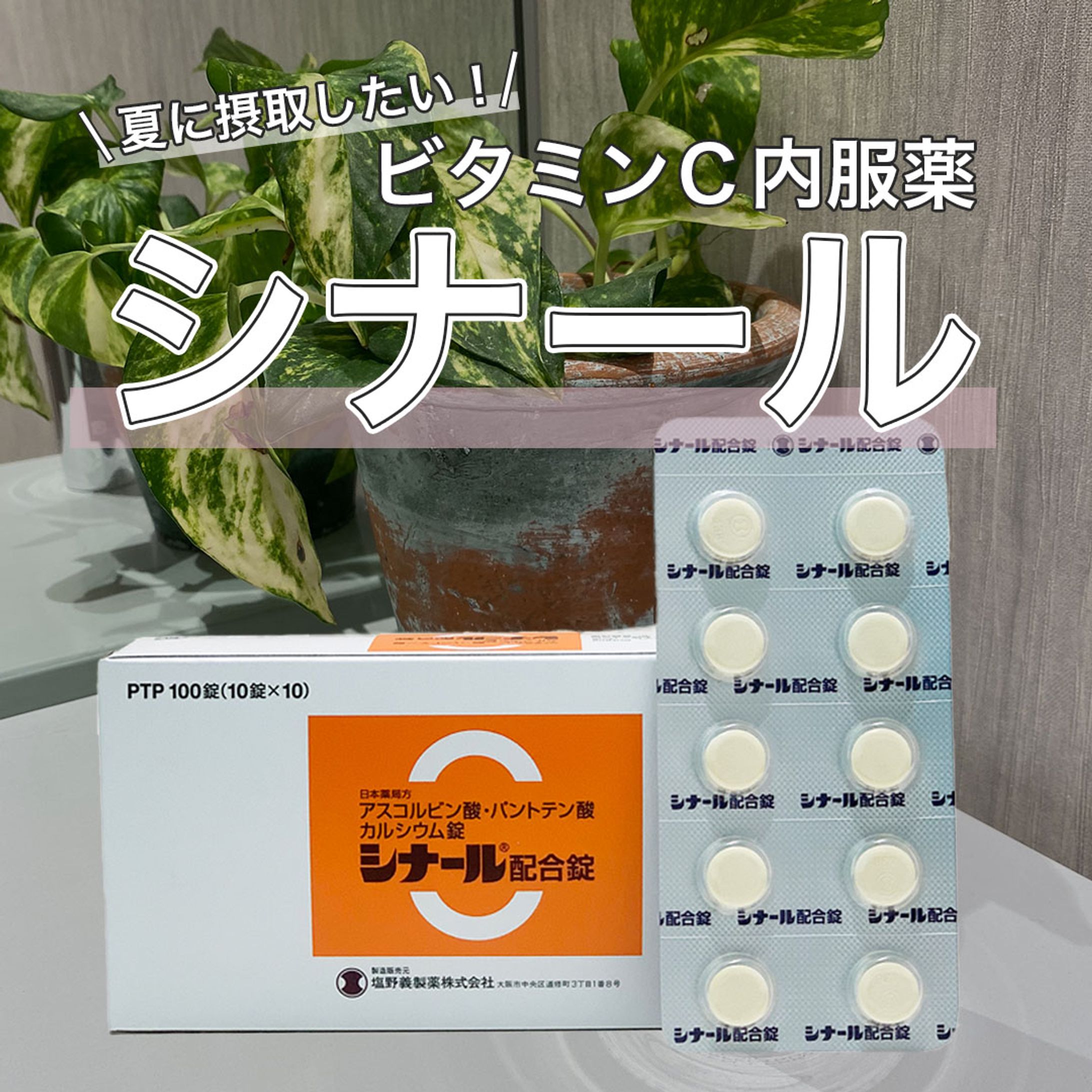 【物販紹介】シナール-1