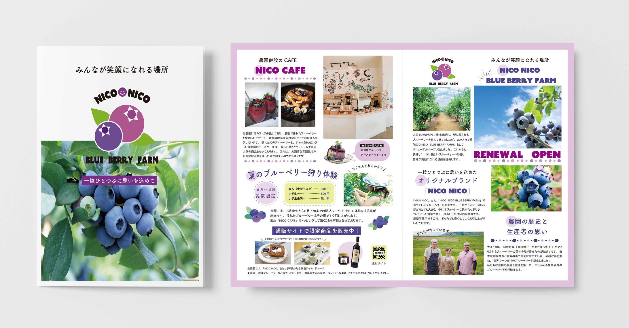 BLUE BERRY FARMパンフレット-1