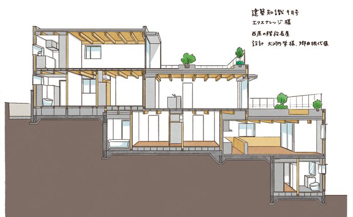 イラストレーション、執筆