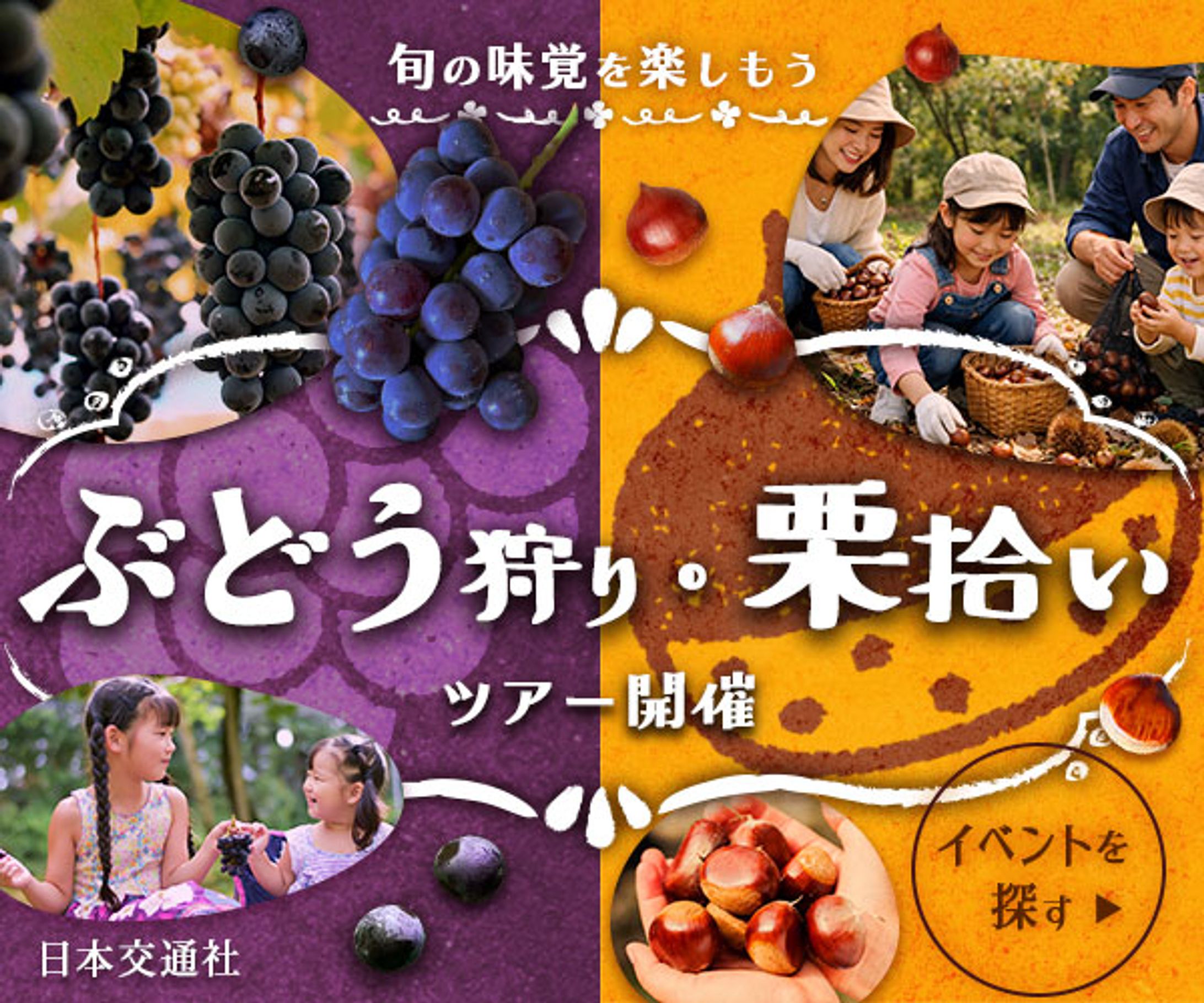 バナー：ぶどう狩り・栗拾いツアー開催-1