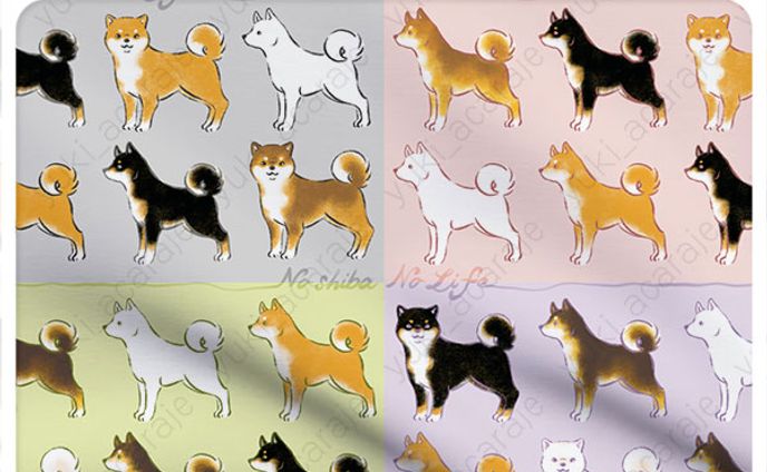 No Shiba No Life