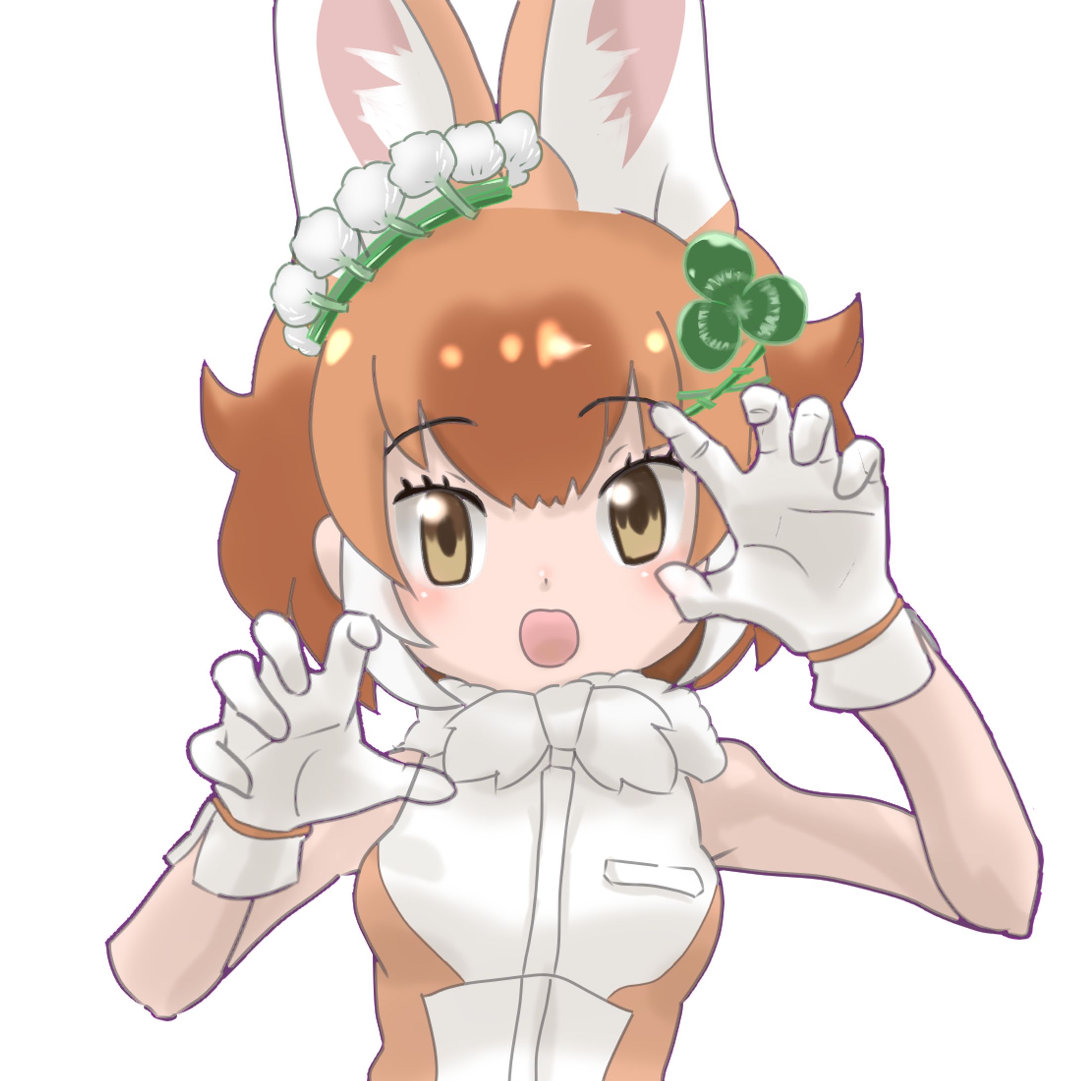 けものフレンズ　ドール-1