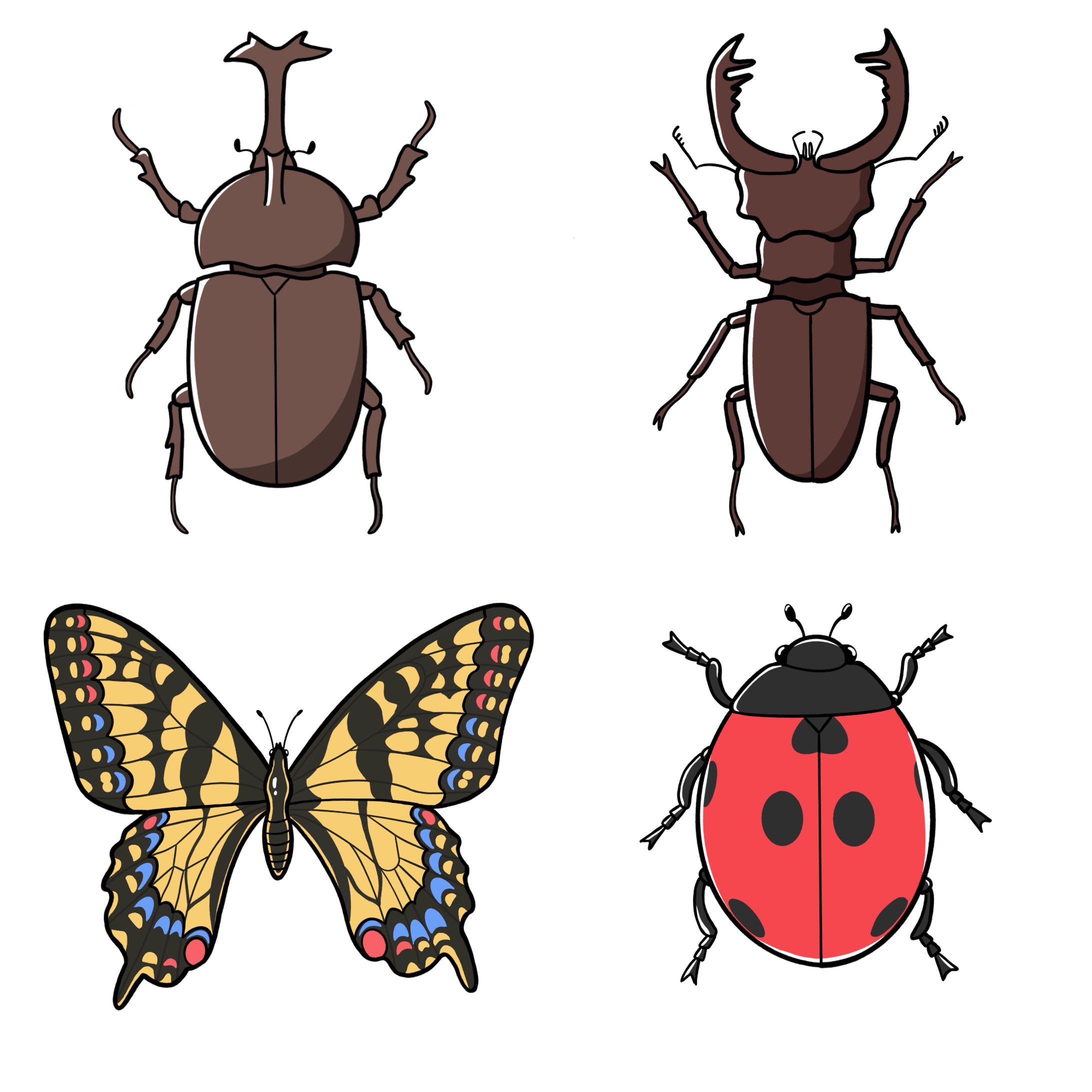 理科教材向け/昆虫カットイラスト(真上視点)【サンプル】-1