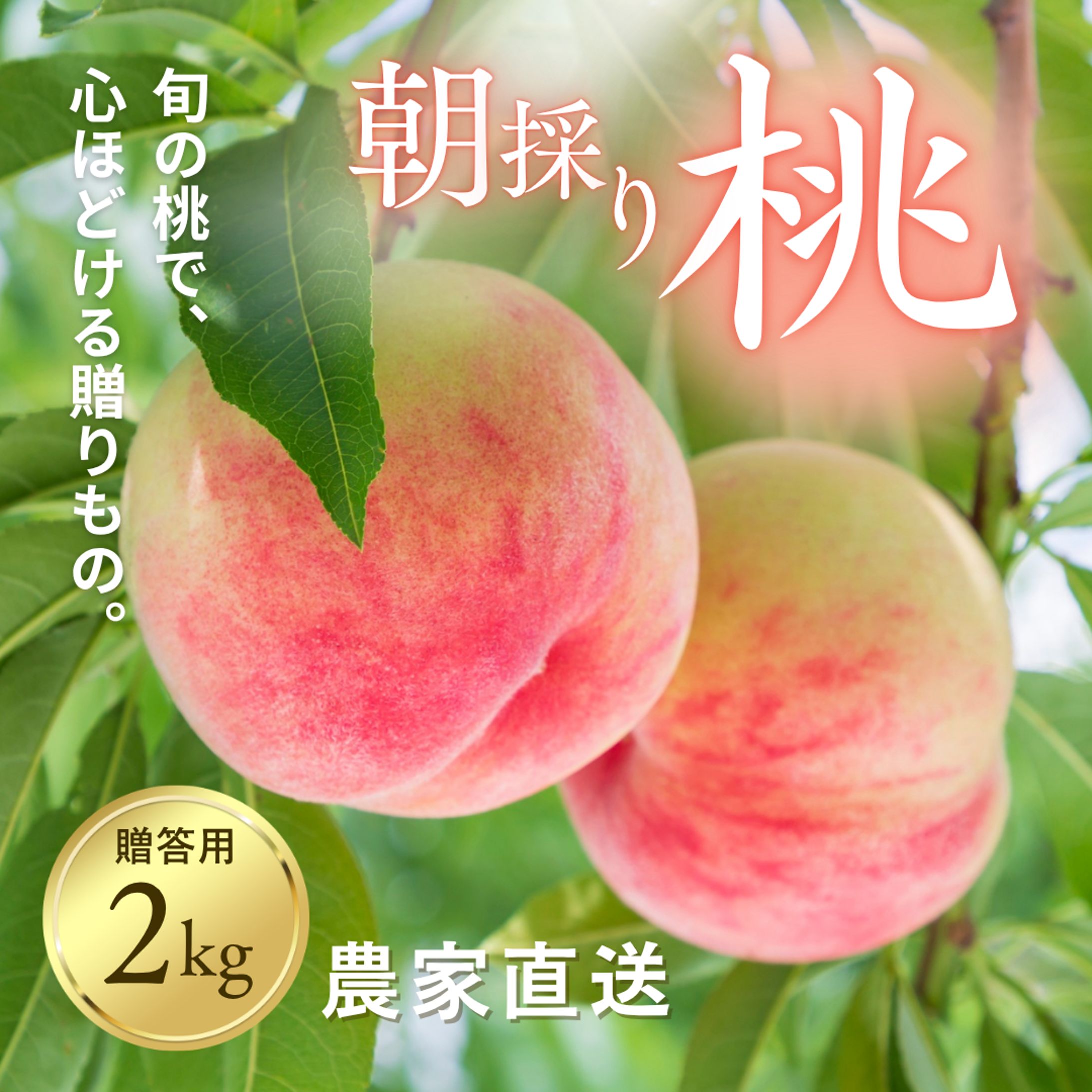 商品画像-1