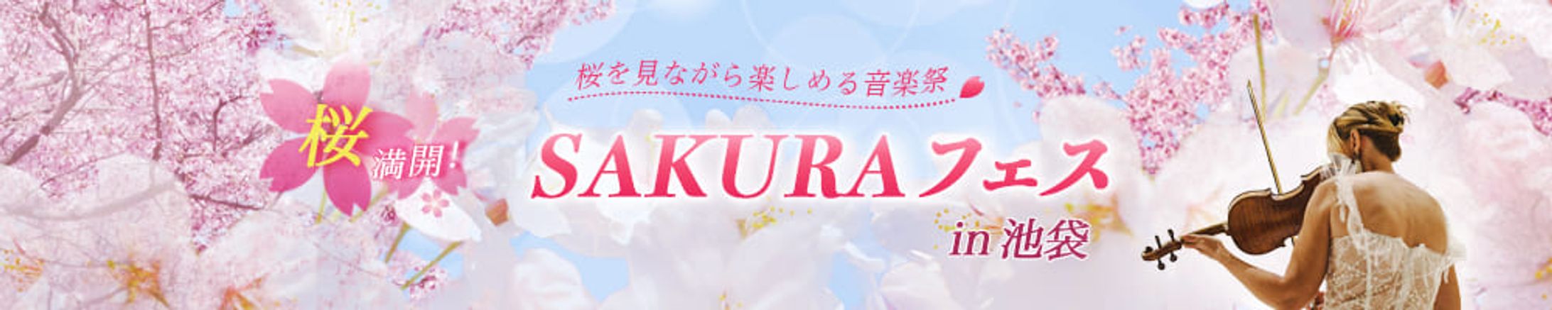 バナー：桜フェス-1