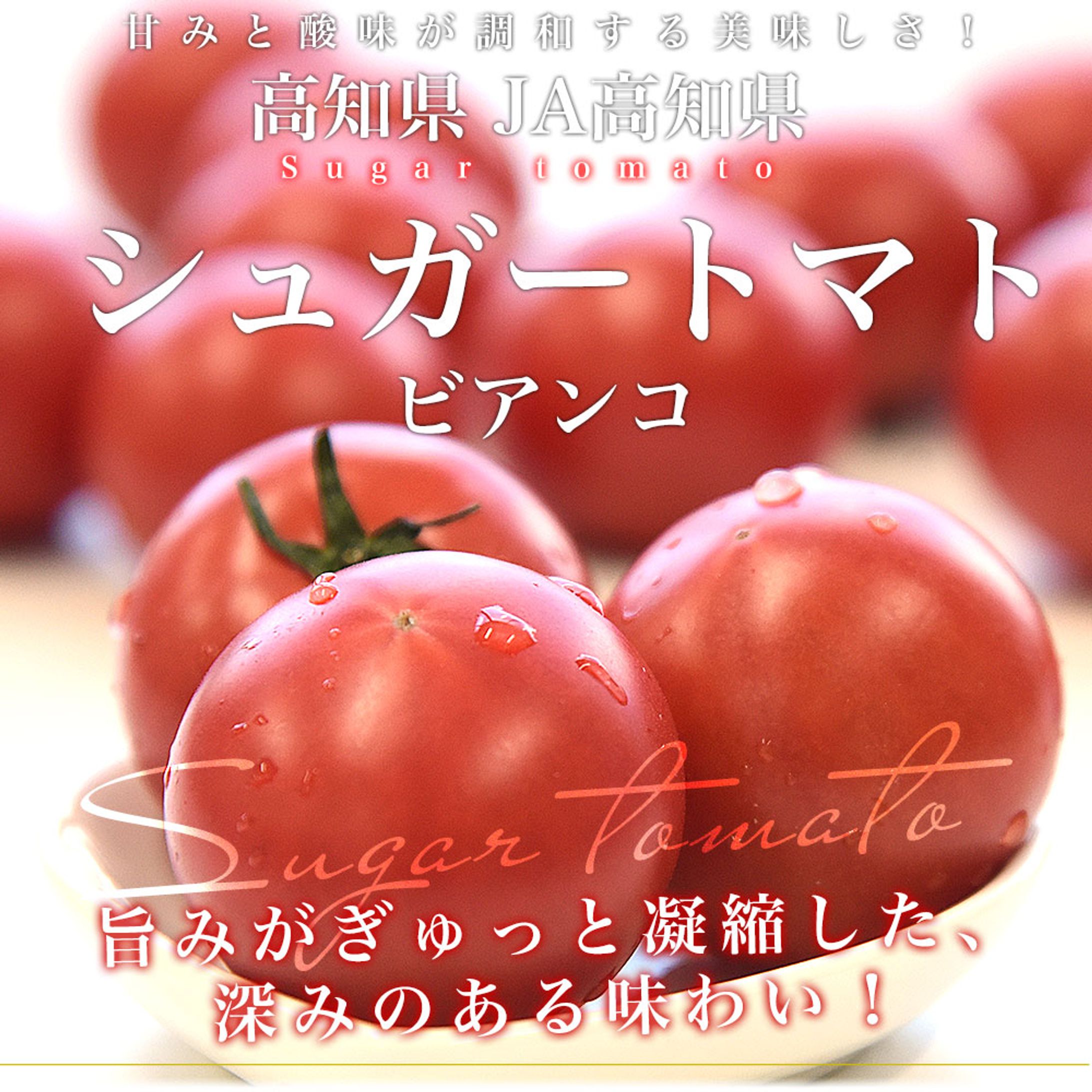 ECサイト商品ページ2_トマト※詳細に商品URL記載-1