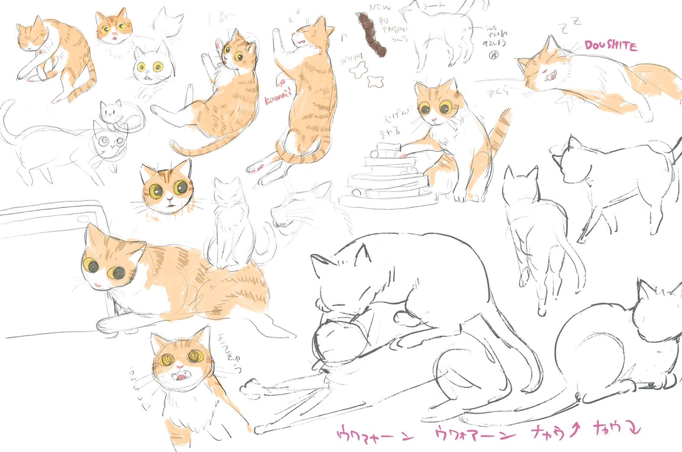 愛猫のスケッチ（はるくん）-1
