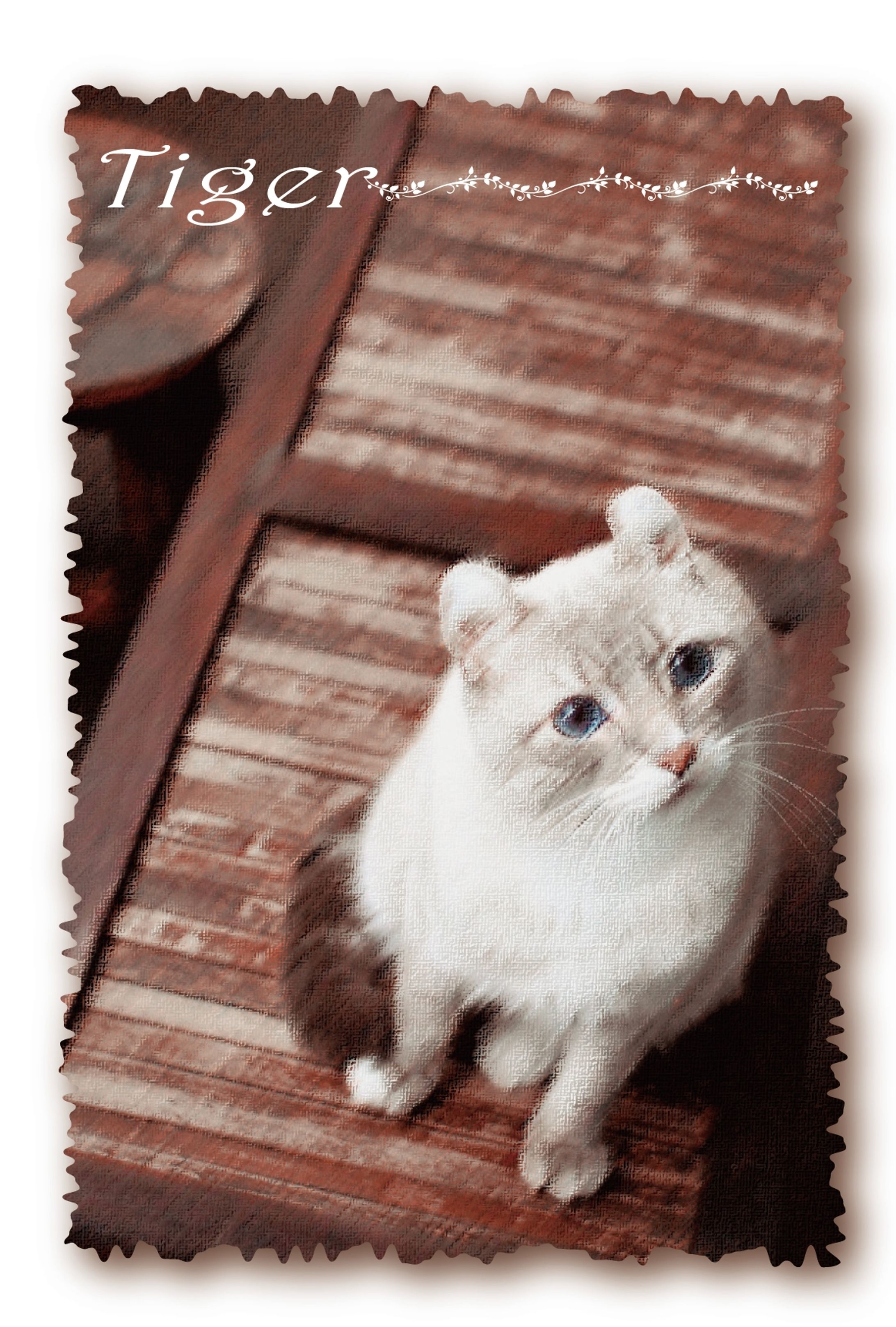 グッズ製作（ポストカード）-1