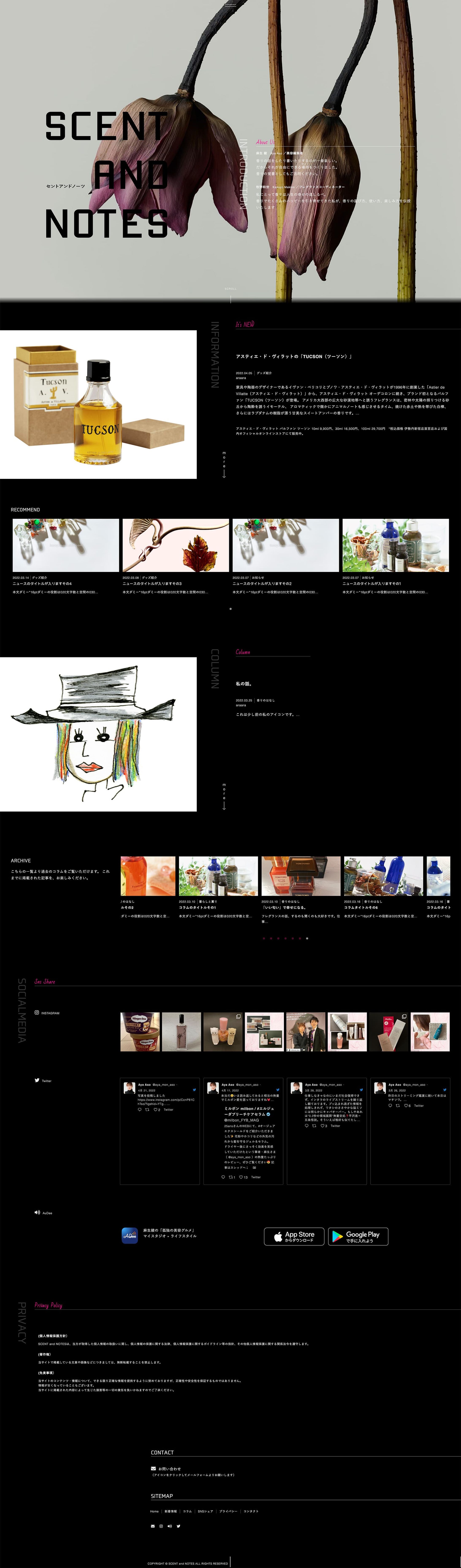 【Web】【Logo】S&N オウンドメディアサイト-1