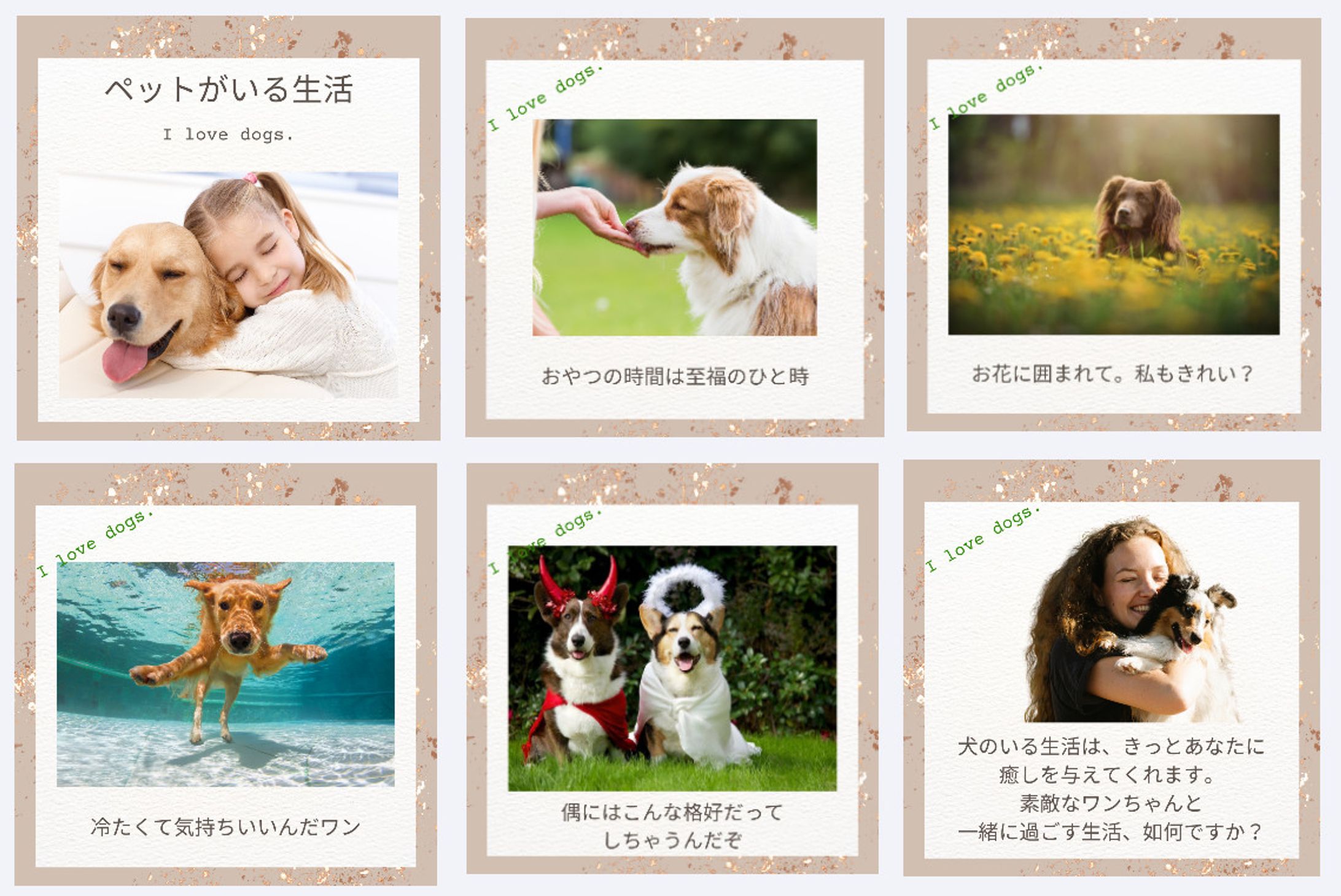 ペットがいる生活-1
