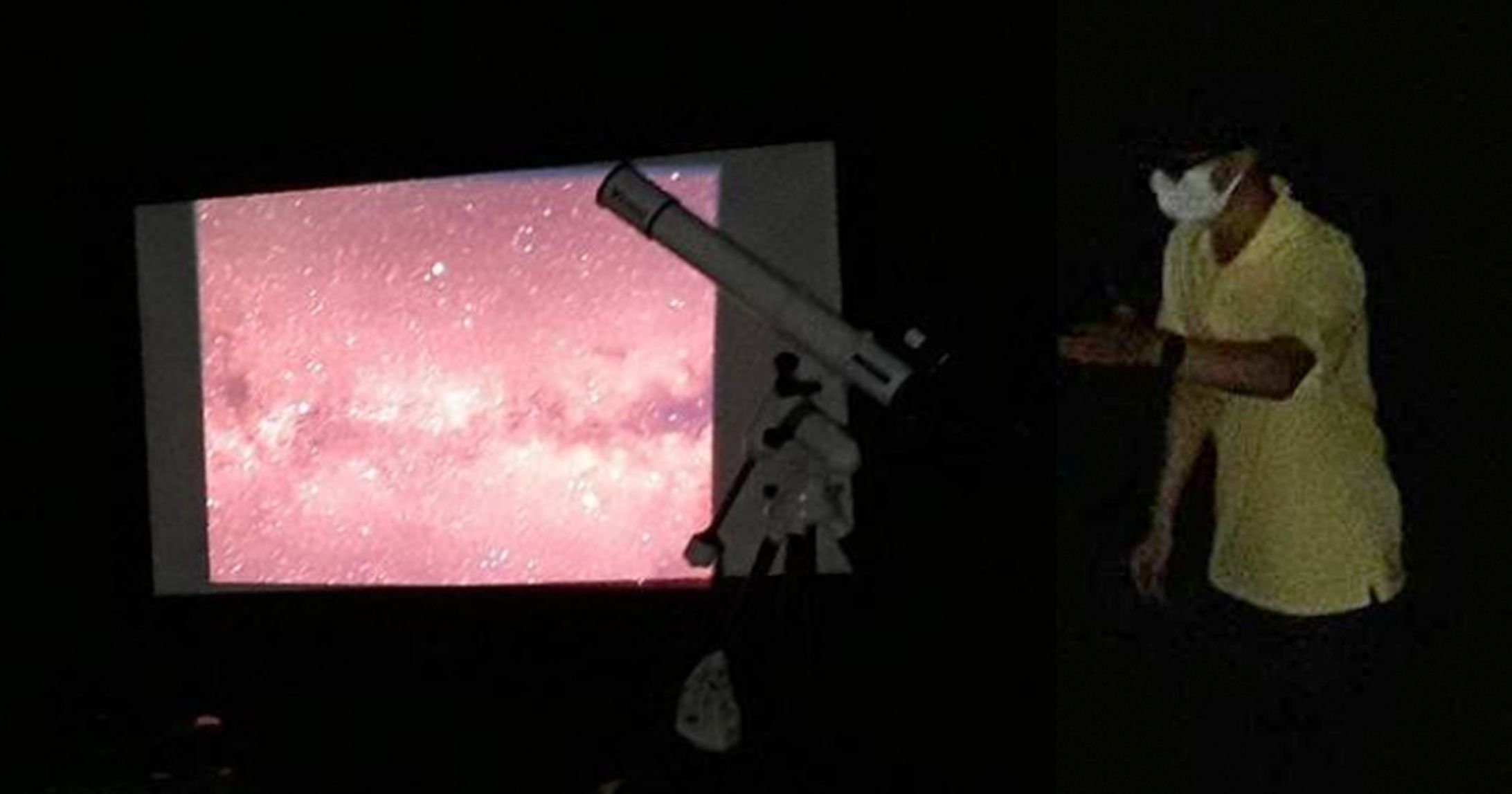 【企画】自然学校での天文イベント企画・実施-1