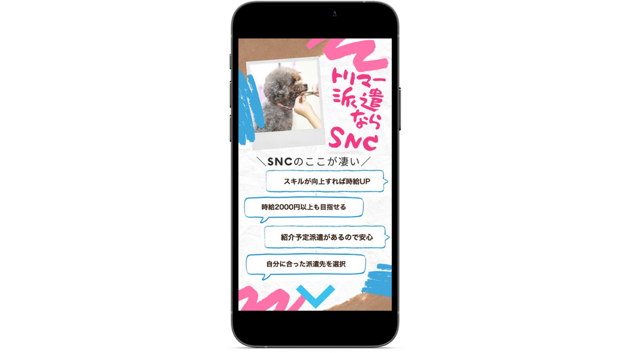 トリマー求人サイトのストーリーズ広告③-1