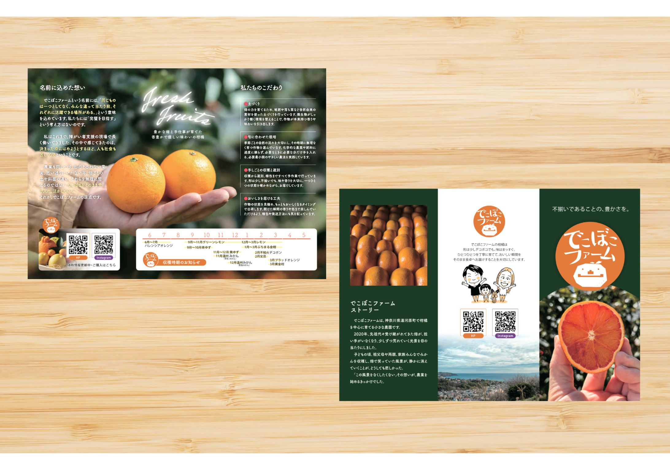 柑橘農家様　三つ折りパンフレットA4-1