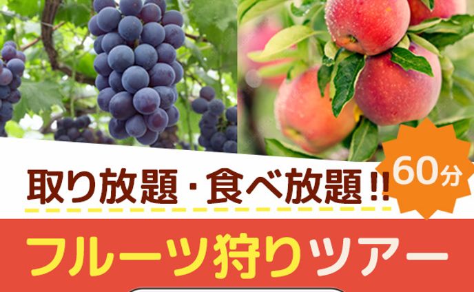 バナー