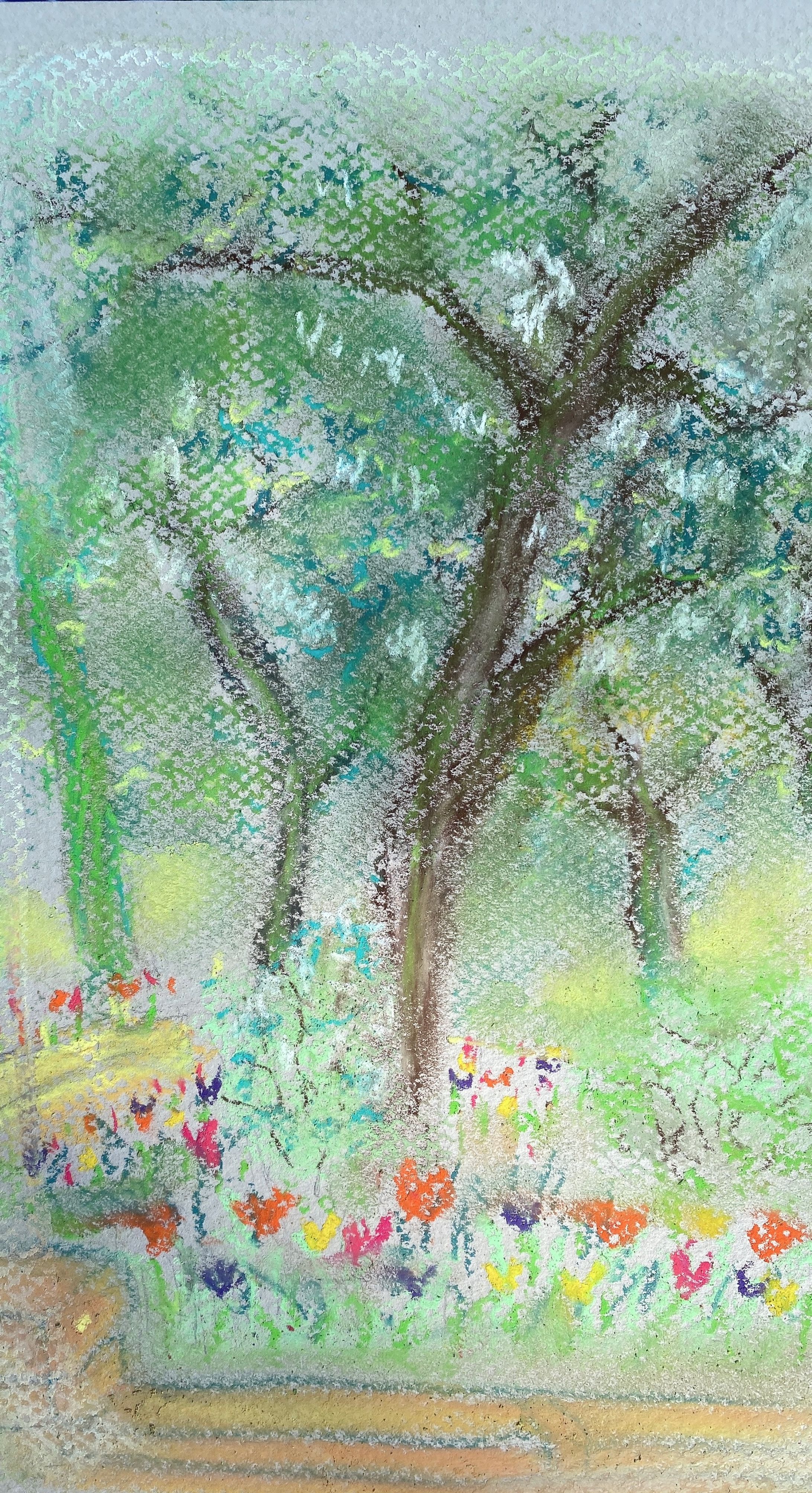 チューリップの咲く公園-1