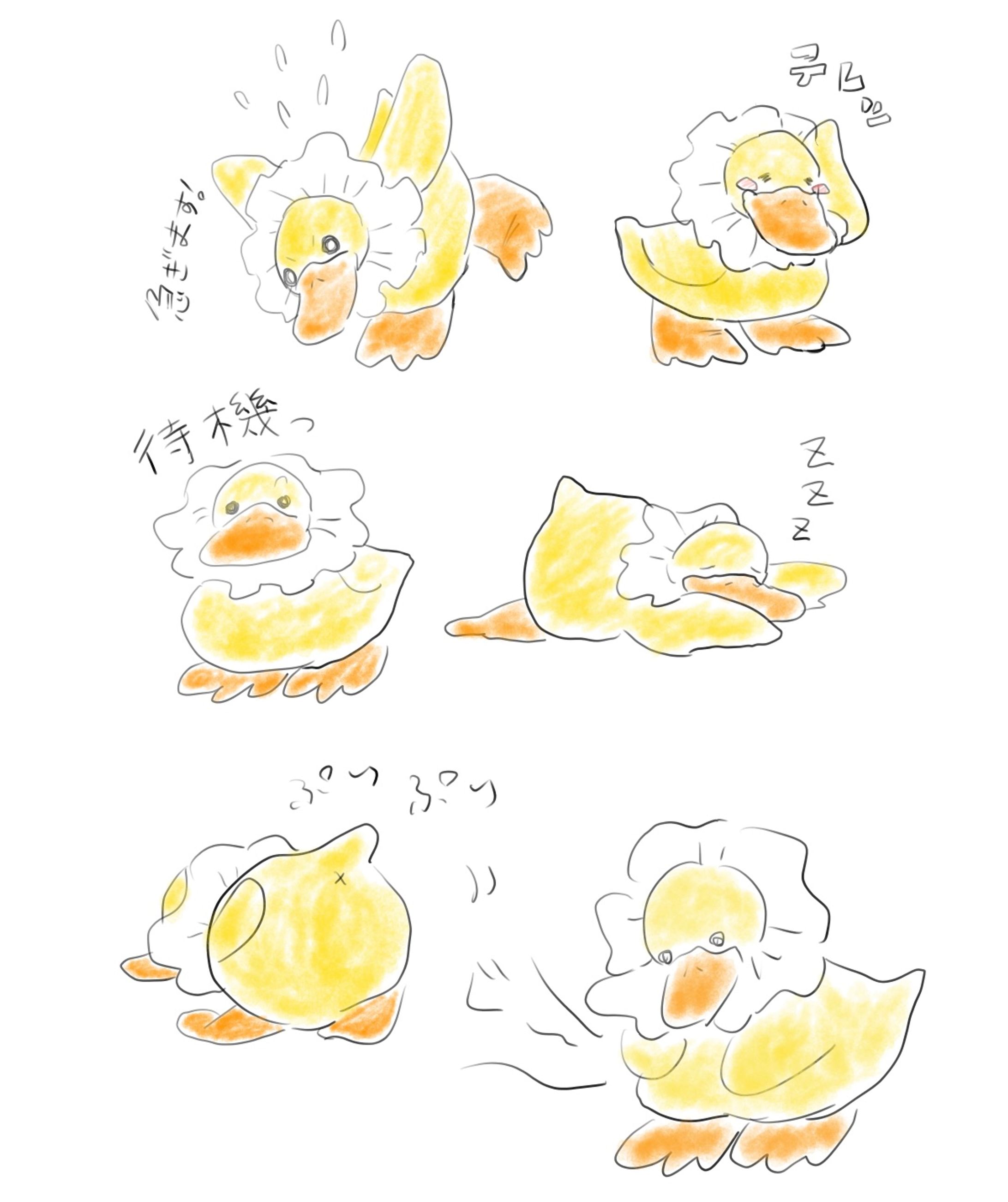あひるのぬいぐるみ-1