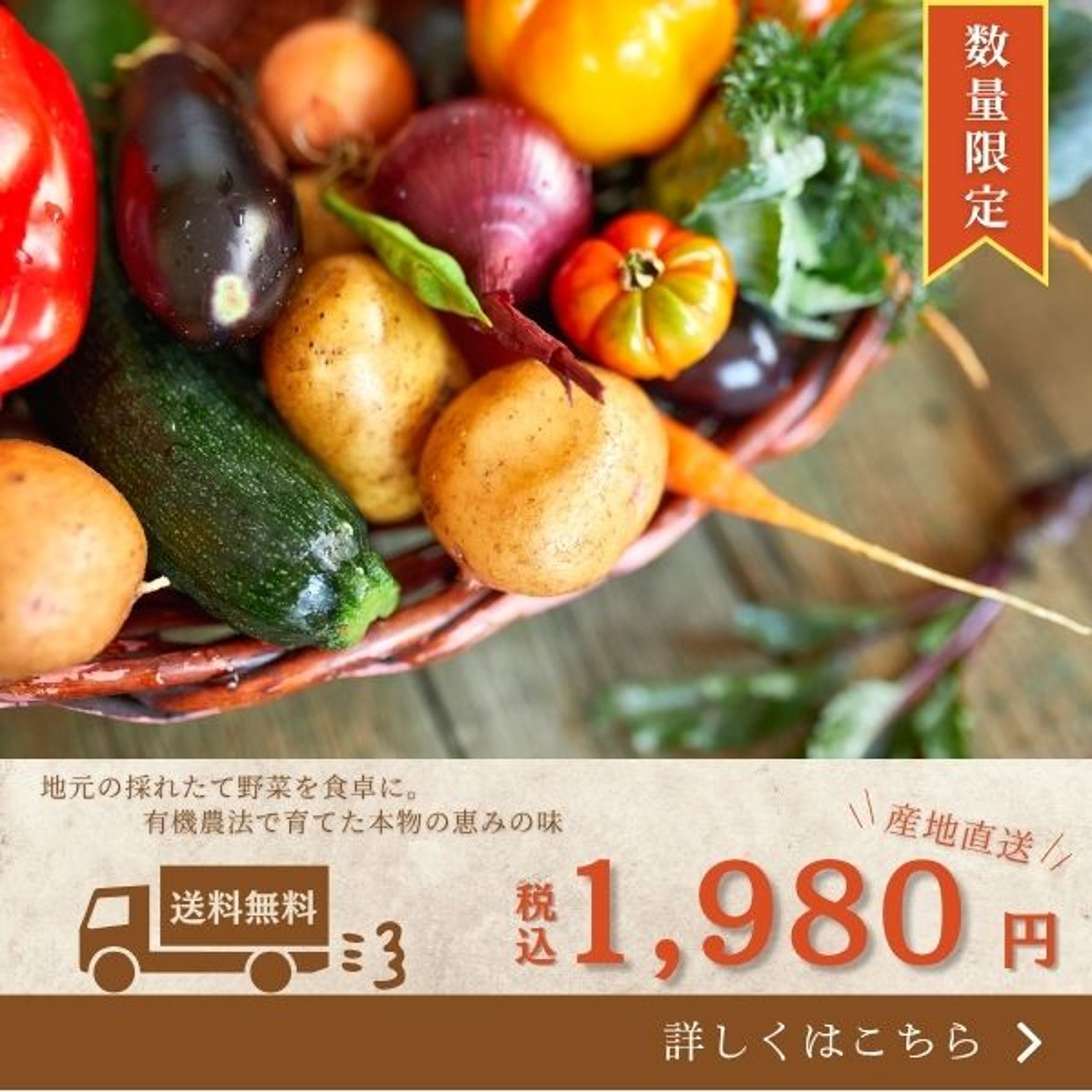 食品系_バナー-1