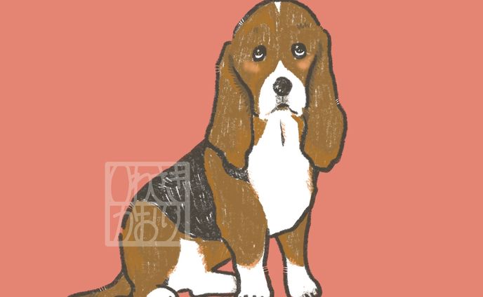 犬