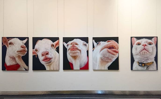 最近、コロナでたいへんですが
私の卒業制作展はギリ展示できました。
報告遅くてすみません😣💦
2月13日～16日 大津歴史博物館で展示してました。
ご来場頂いた方々、４年間の大学生活でお世話になった先生方、両親、友達
本当にありがとうございました。
今後は実家の手伝いをしながら作品を制作していきたいと思います。
今後とも応援よろしくお願いいたします！
なので作品投稿を増やそうと思います！

山羊モデルのユキ ／ ねこパンチ３秒前
F50号（1167×910mm）×5／パネル・色鉛筆 
#ヤギ #山羊 #goat
#animalillustration #ねこ #山羊すぎさんとつながりたい🐐 #animal #動物 #卒展 #色鉛筆 #colorpencil #picture #cute #animalartist #animaldrawing #realist #イラスト #絵 #illust #illustration #illustrator #コロナ  #draw #drawing  #art #新型肺炎 #ねこ好きさんと繋がりたい #感謝 #works #成安造形大学