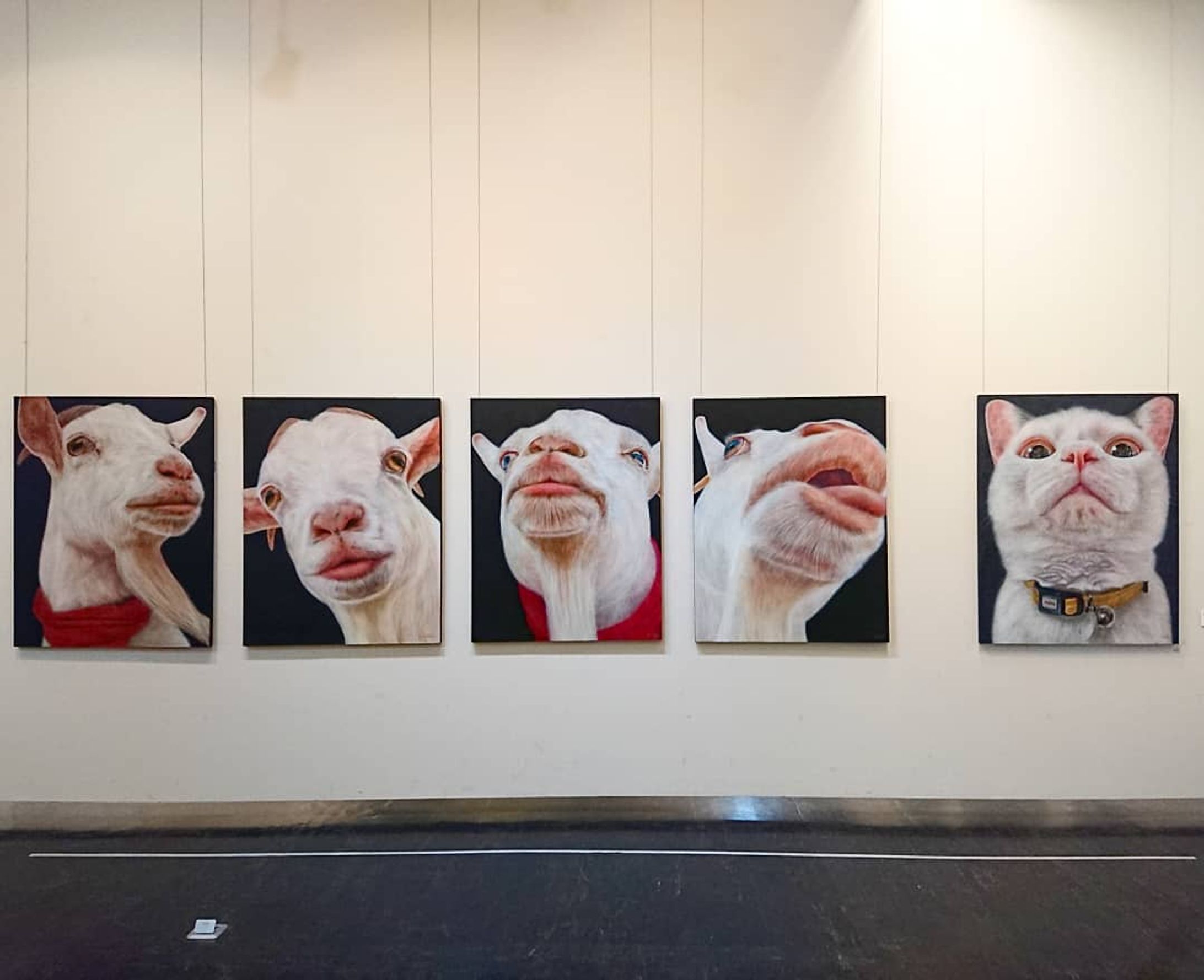 最近、コロナでたいへんですが
私の卒業制作展はギリ展示できました。
報告遅くてすみません😣💦
2月13日～16日 大津歴史博物館で展示してました。
ご来場頂いた方々、４年間の大学生活でお世話になった先生方、両親、友達
本当にありがとうございました。
今後は実家の手伝いをしながら作品を制作していきたいと思います。
今後とも応援よろしくお願いいたします！
なので作品投稿を増やそうと思います！

山羊モデルのユキ ／ ねこパンチ３秒前
F50号（1167×910mm）×5／パネル・色鉛筆 
#ヤギ #山羊 #goat
#animalillustration #ねこ #山羊すぎさんとつながりたい🐐 #animal #動物 #卒展 #色鉛筆 #colorpencil #picture #cute #animalartist #animaldrawing #realist #イラスト #絵 #illust #illustration #illustrator #コロナ  #draw #drawing  #art #新型肺炎 #ねこ好きさんと繋がりたい #感謝 #works #成安造形大学-1