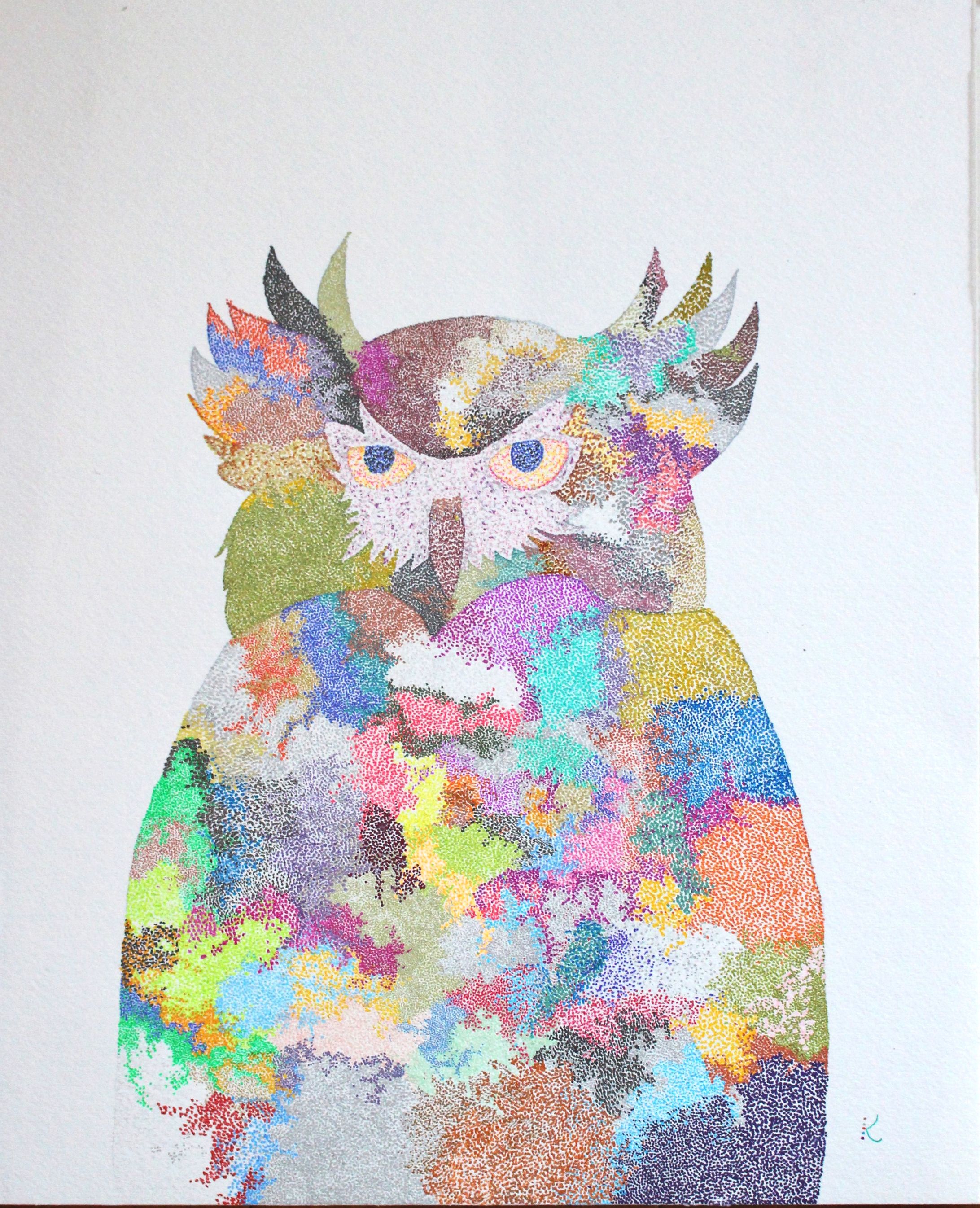 シマフクロウ-1