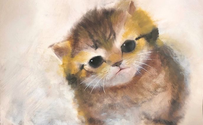 どうしたの？