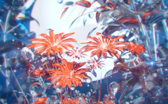 it、motion graphics