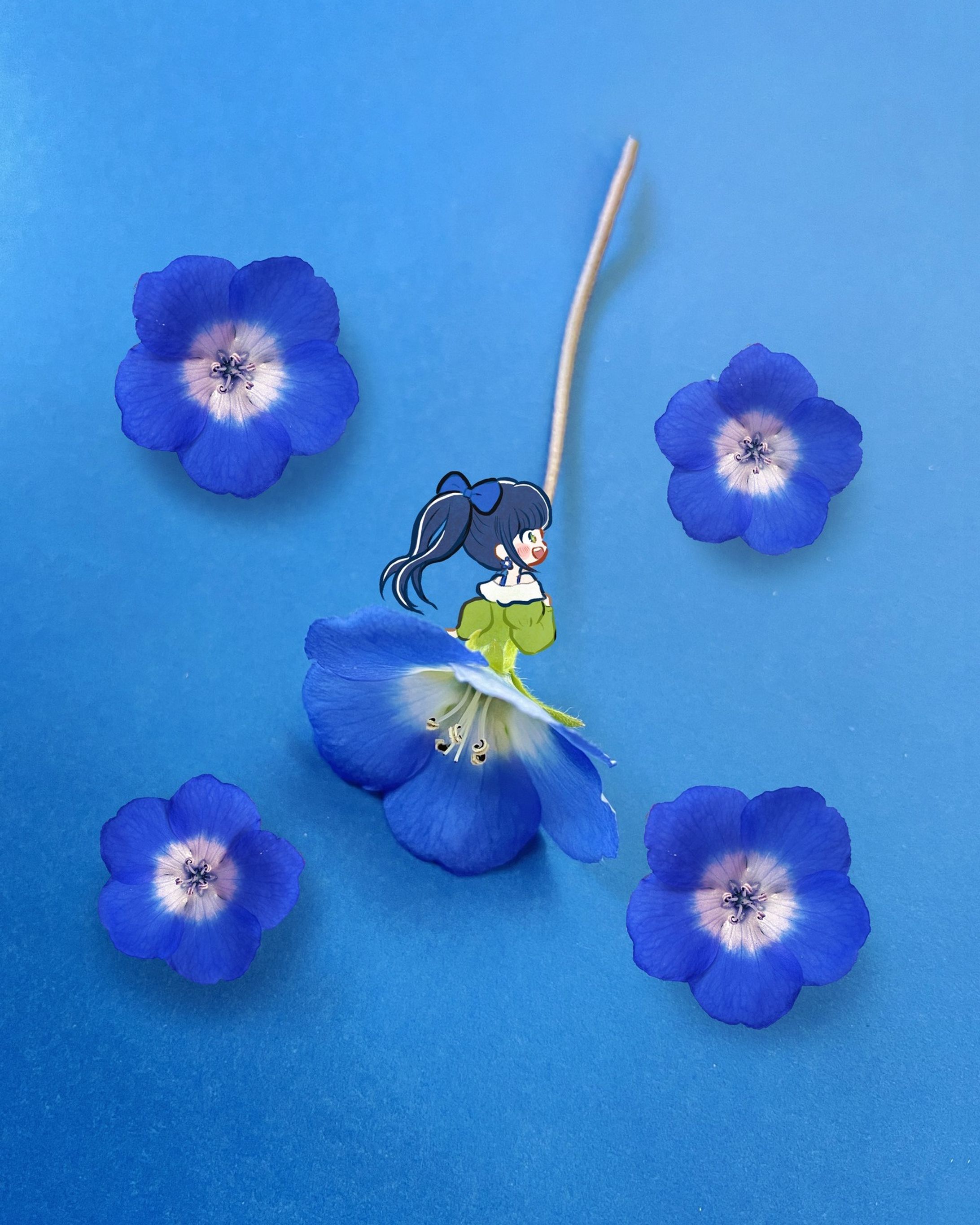 💠ネモフィラドレスの小さな淑女💠
花言葉は「可憐」「すがすがしい心」

- - - - - - - - -

＼写真の上に物語を描くイラストレーターです／
他の投稿はこちらから✨ → @enayacomic

- - - - - - - - -

#illust
#illustration
#painting
#art
#装画
#ふぉといらすと
#かわいいイラスト
#イラスト
#イラストグラム
#イラストレーター
#オリジナルイラスト
#絵本のような世界
#日常に魔法をかけて
#写真にお絵描き
#digitalillustration
#illustrationartwork
#illustrationday
#illustrationinstagram
#artphotograph
#artphotostreeter
#artphotographystyle
#드로잉스타그램
#드로잉북
#graffitiphotography
#写真に物語を
#花のドレス
#女の子イラスト
#ネモフィラ
#青が好き
#nemophila-1