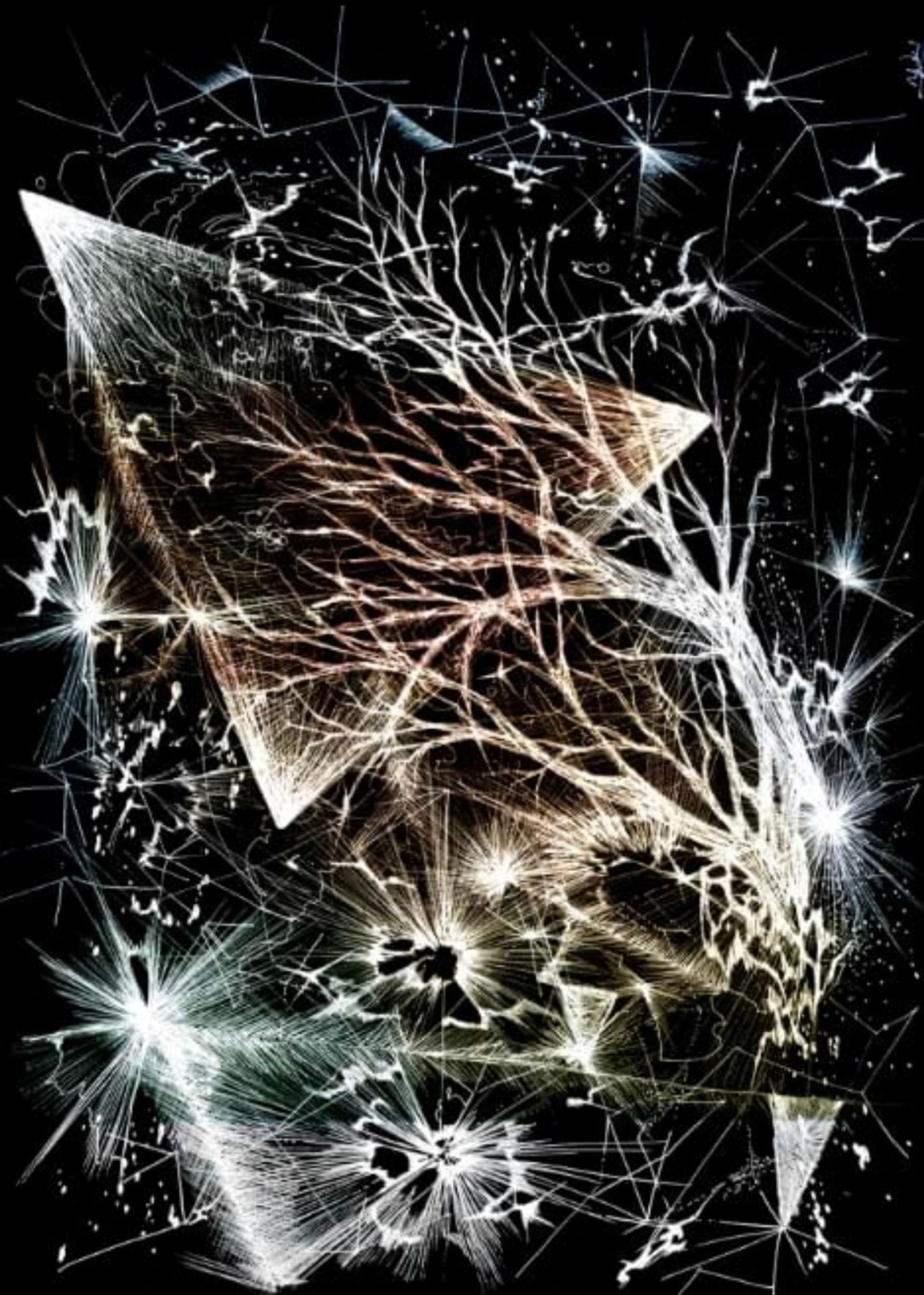 gift from the universe-1
