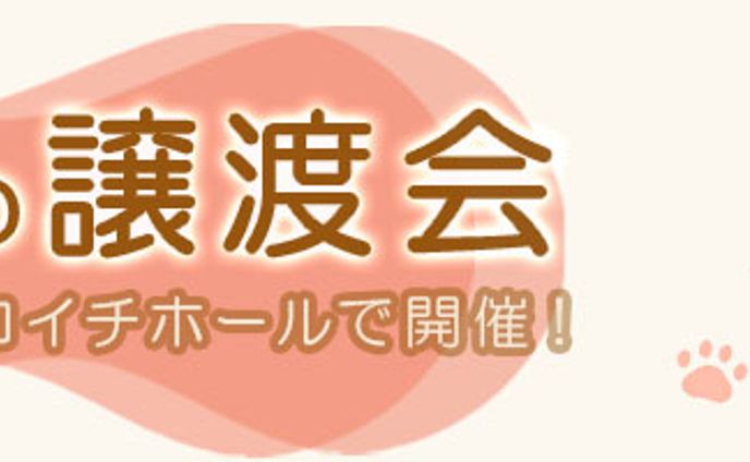 譲渡会バナー
