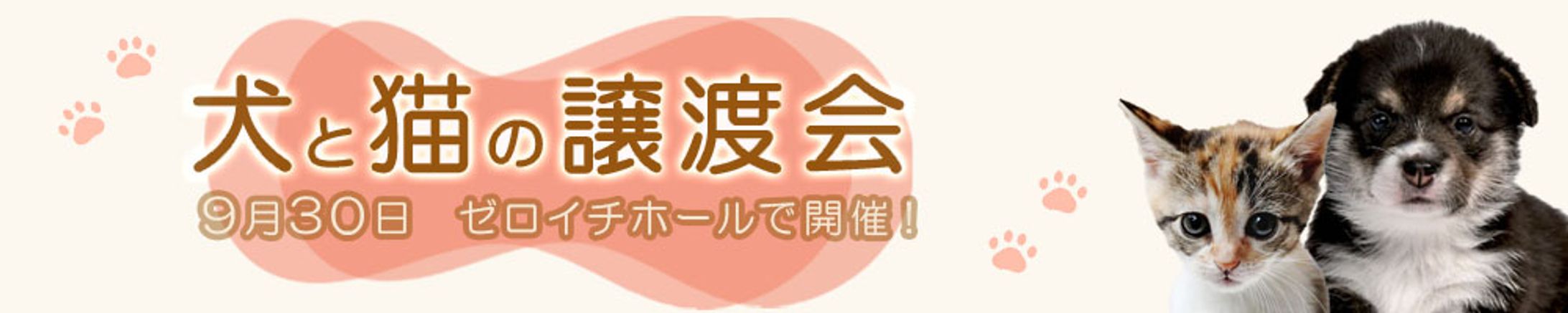 譲渡会バナー-1