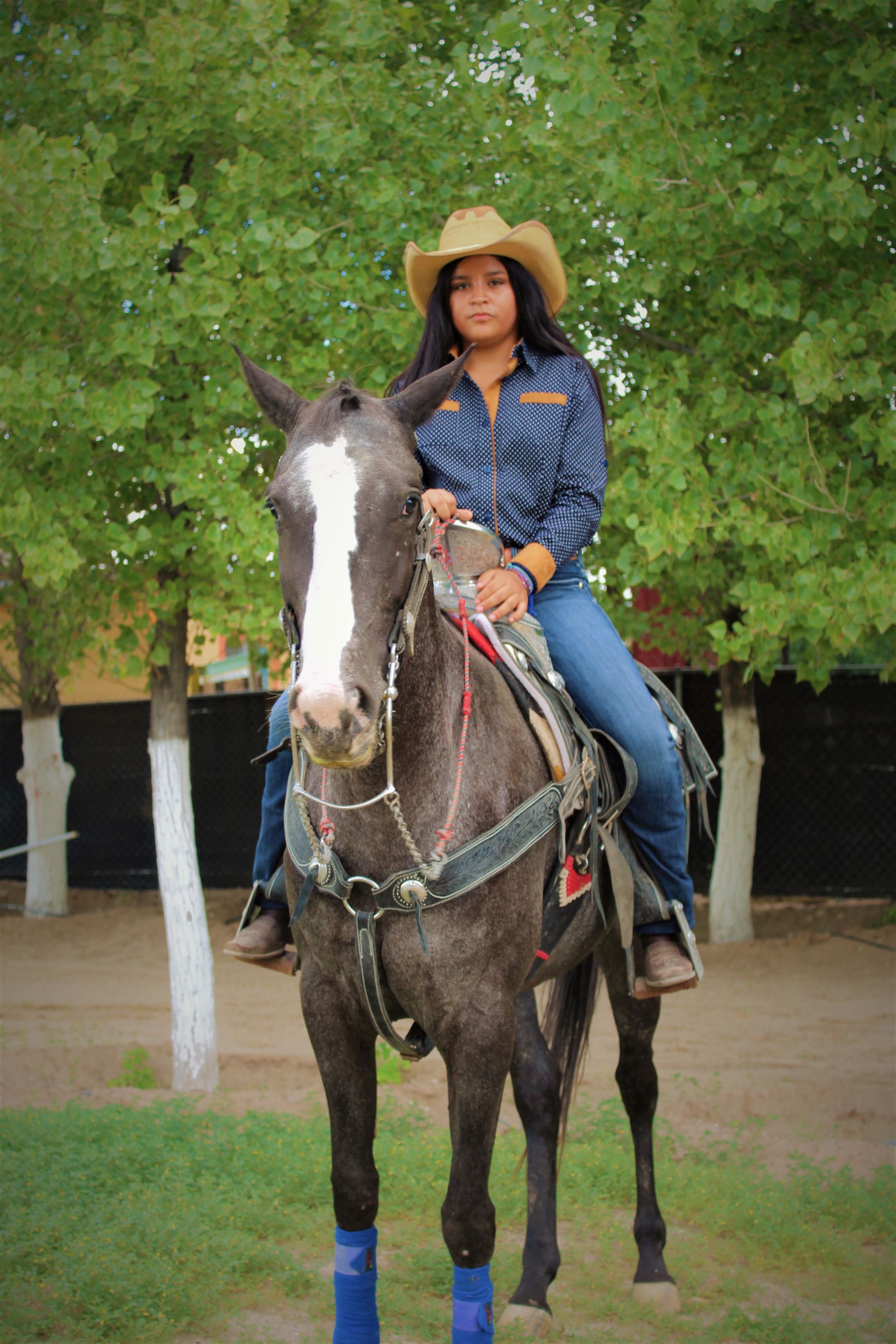 Xv Años - Brianna --1