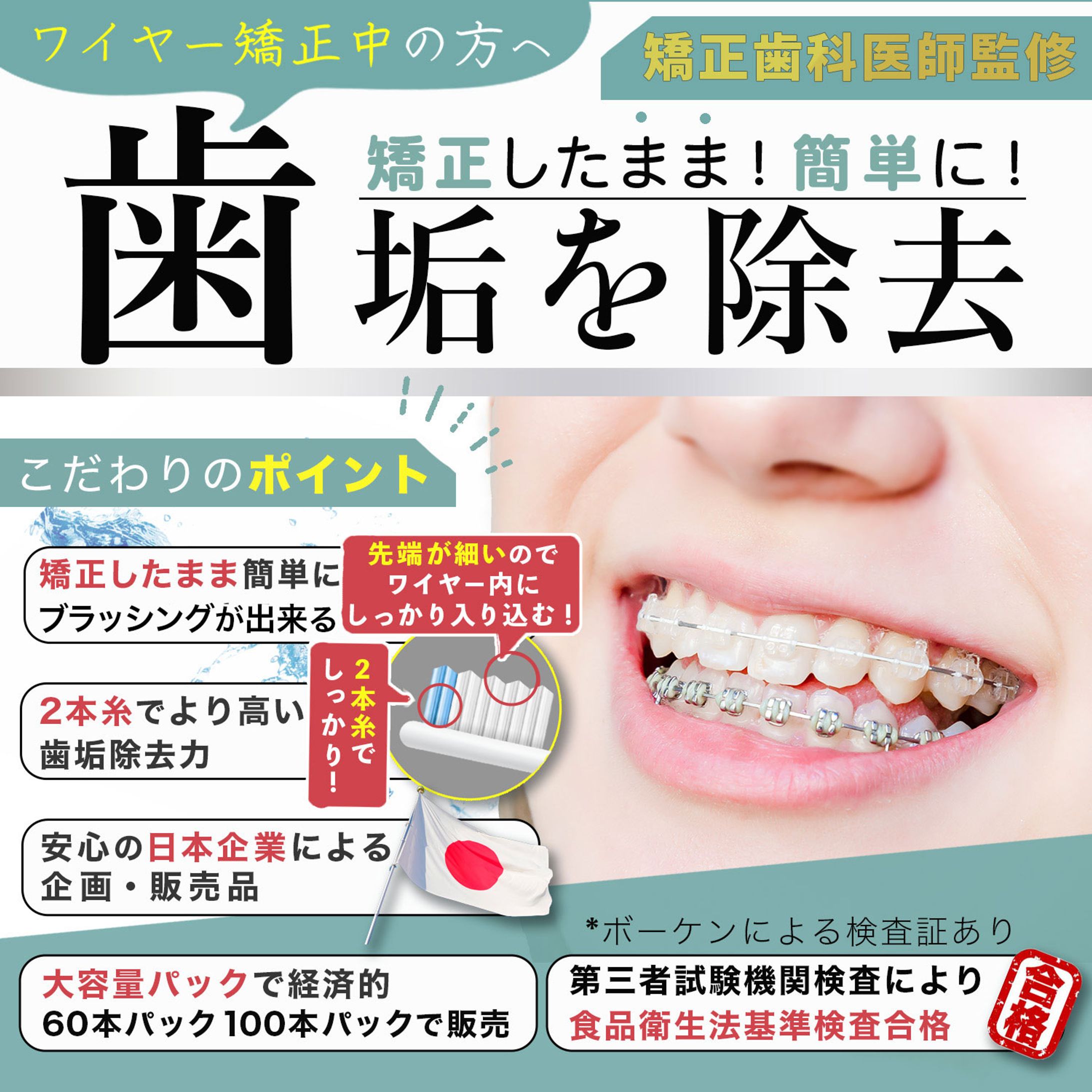 カタログ画像-1