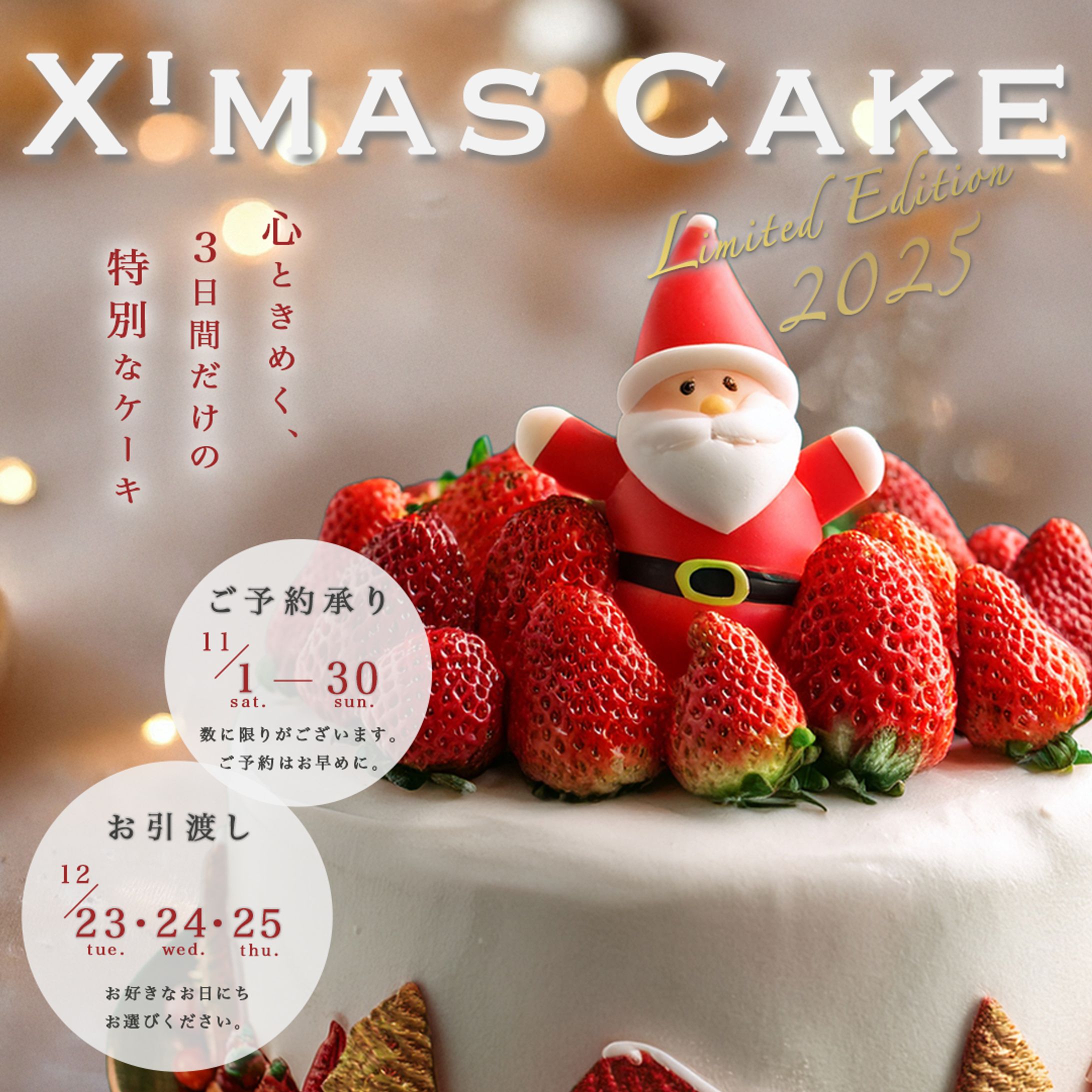 クリスマスケーキ予約バナー（架空）-1