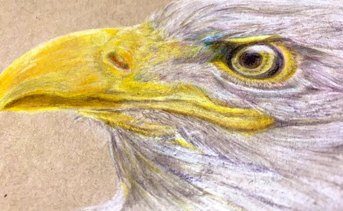 立体作品、アナログイラスト