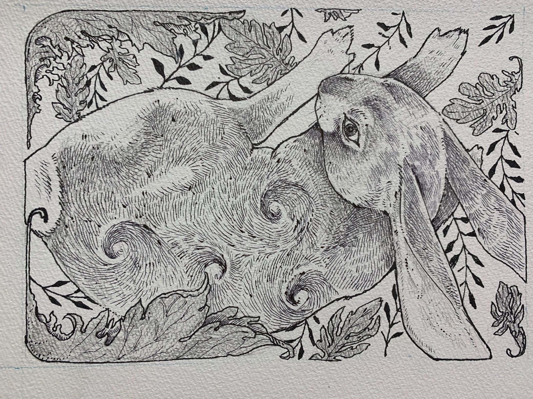 うさぎ(アナログ)-1