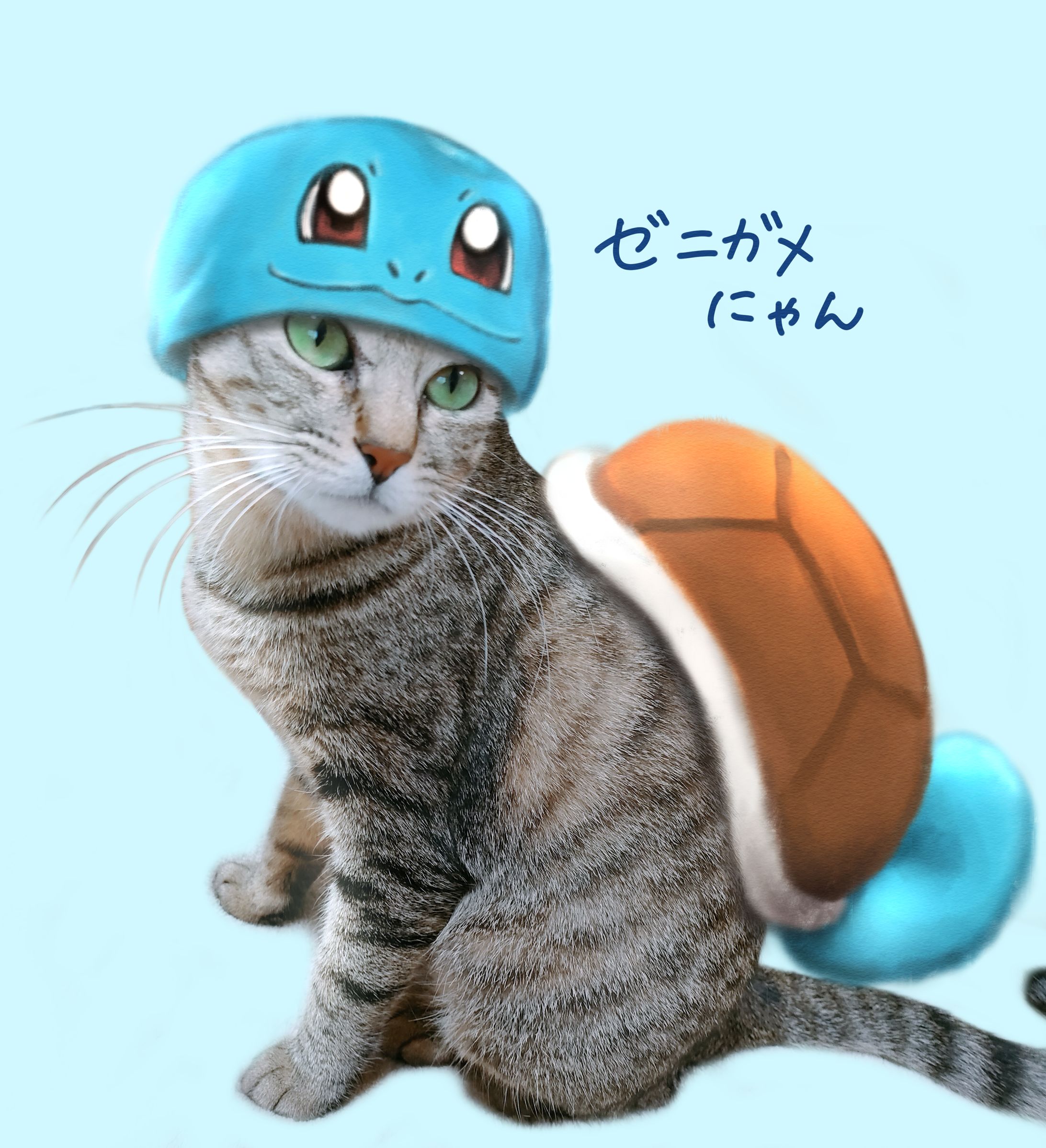 ゼニガメ 、ヒトカゲ、フシギダネのコスプレ猫-1