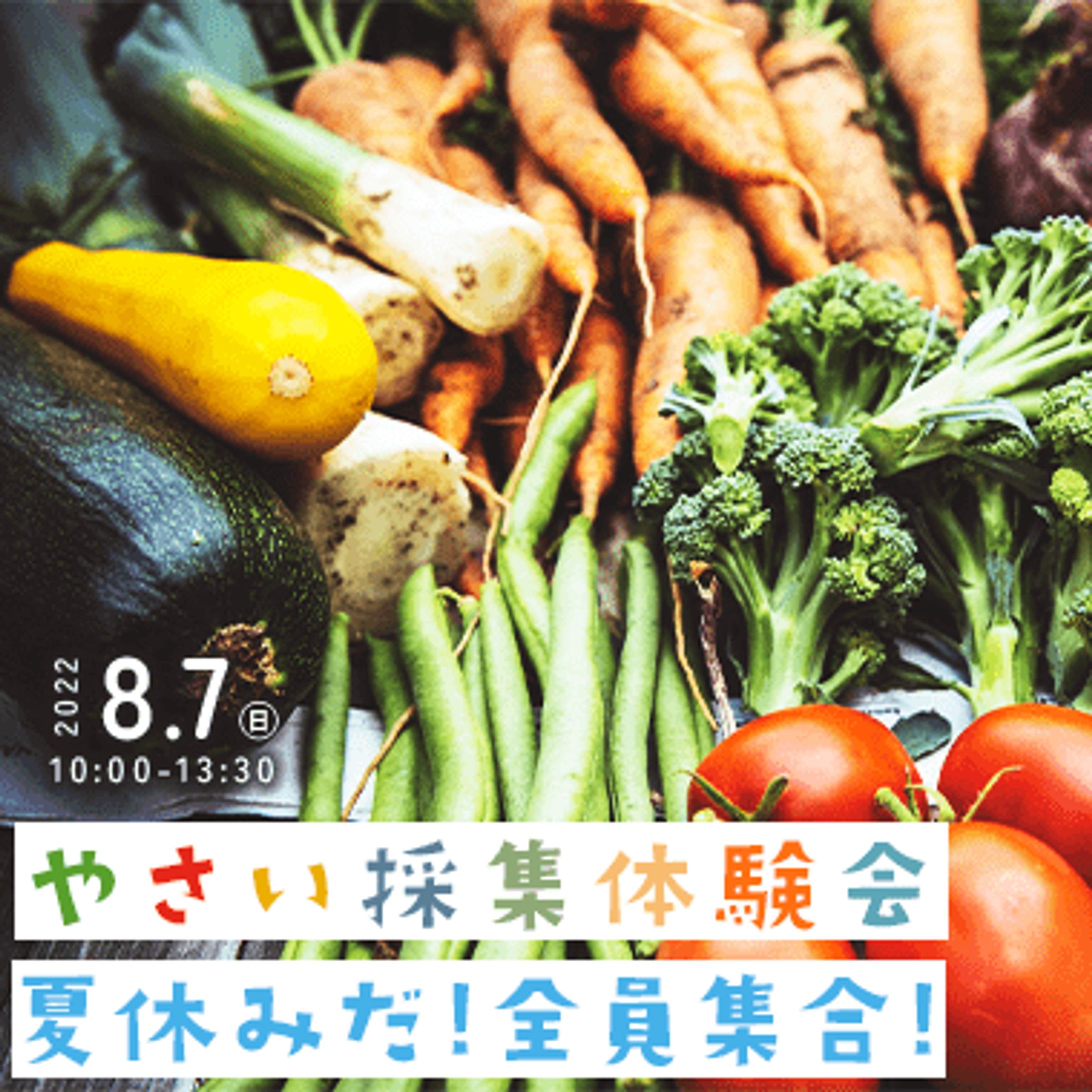 vegetable-1