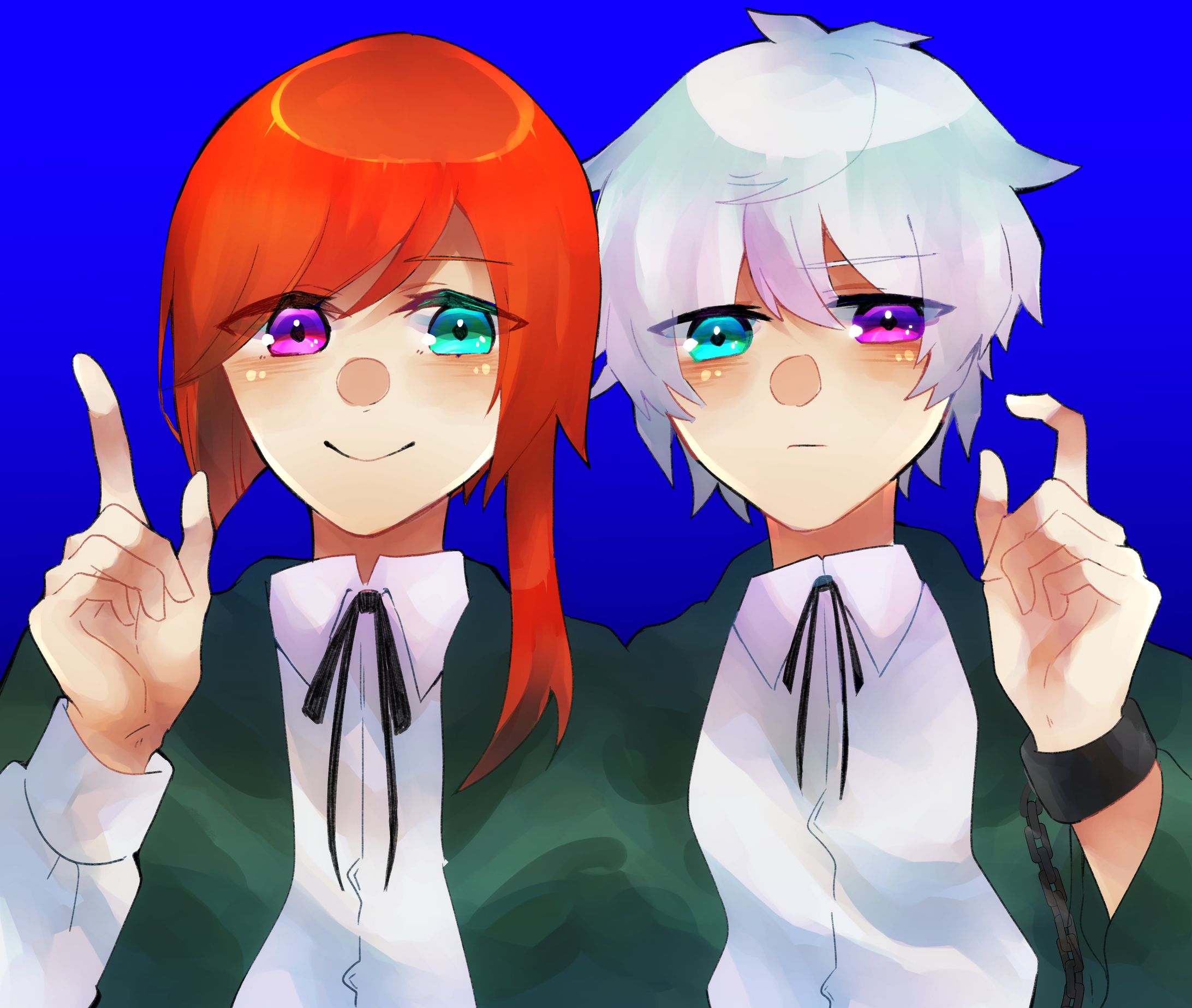 オッドアイと双子の子-1