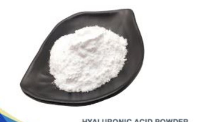 ヒアルロン酸原料調査レポート：市場規模、シェア、産業分析データ、最新動向2024-2030