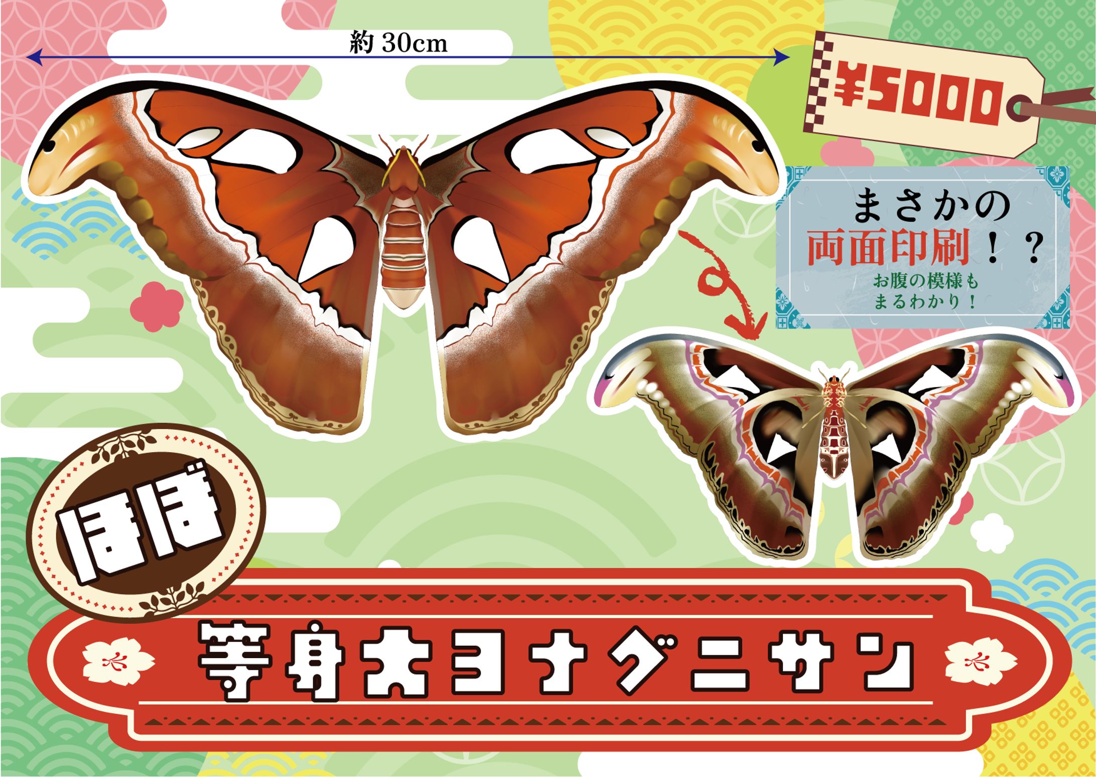 販促ポップデザイン-1