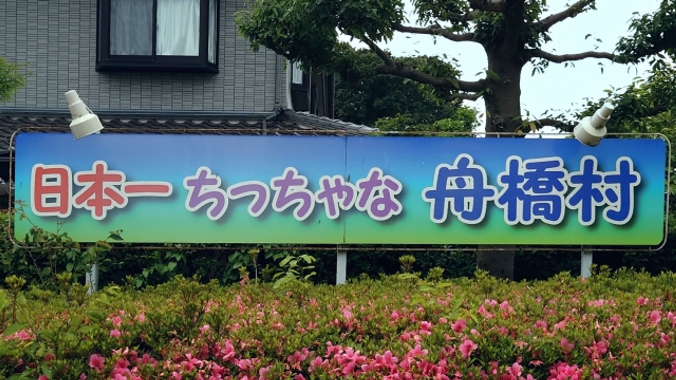 出生数わずか8人で一時は存続の危機……日本一ちっちゃな村は今　面積はディズニーランド7個分、人口3325人はさながら「大家族」-1