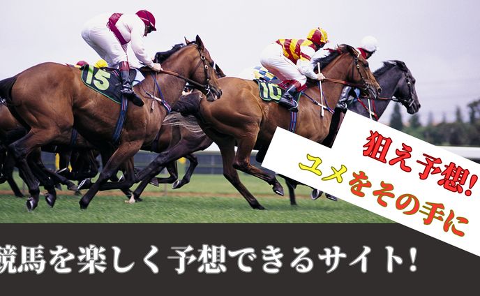 競馬　ファーストビュー