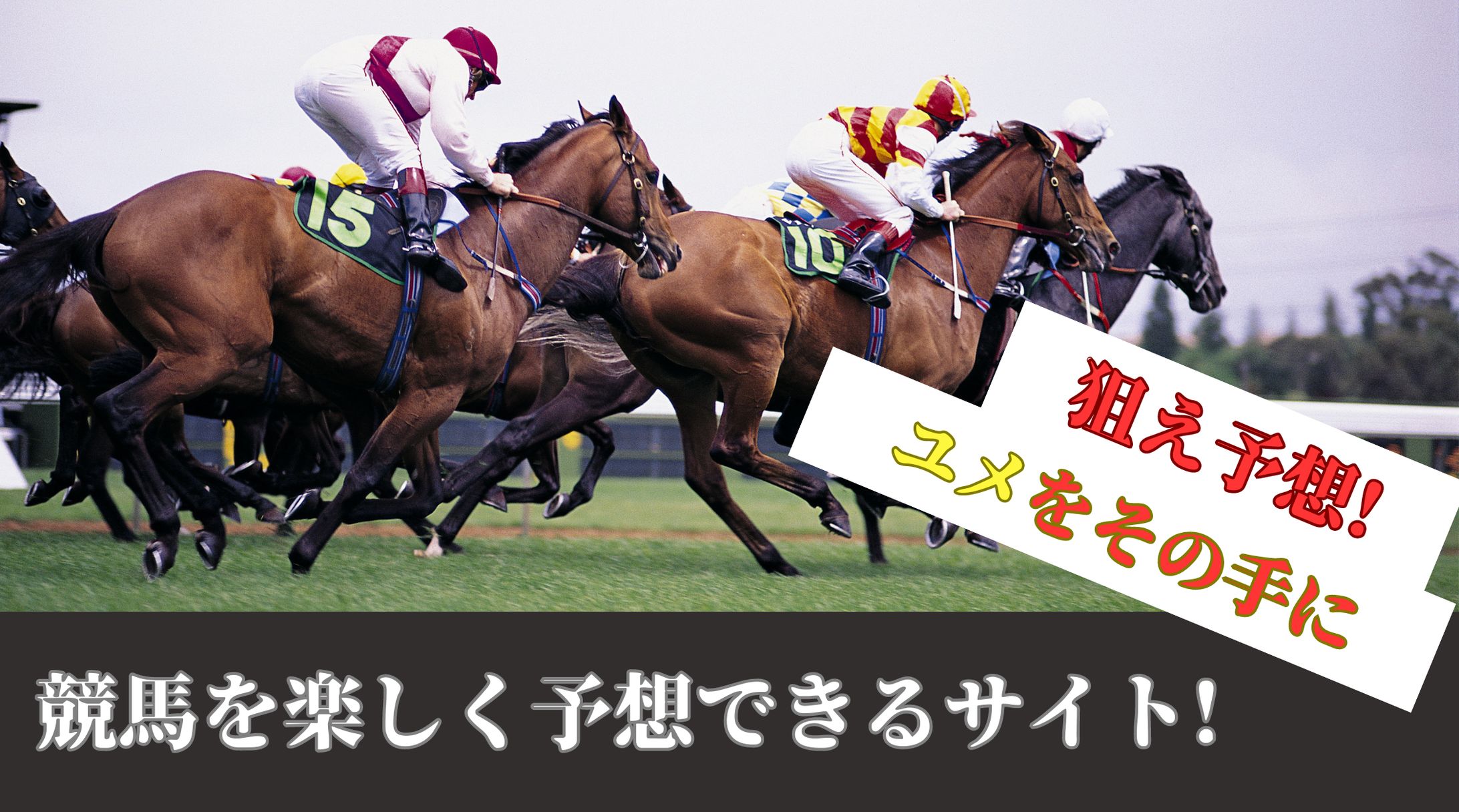 競馬　ファーストビュー-1