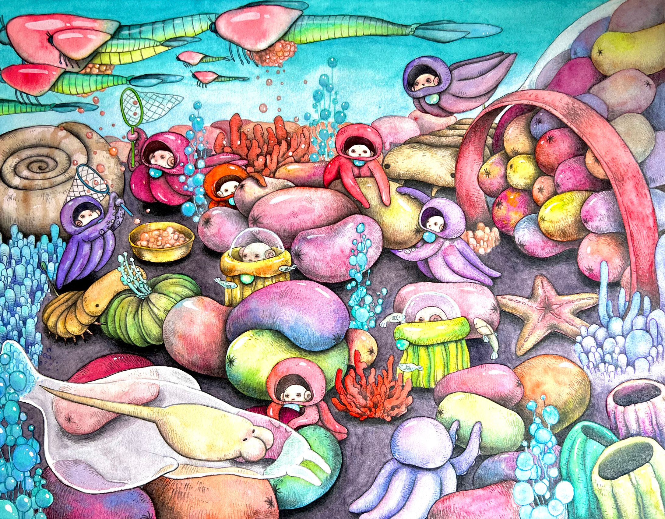 なまこの管理-1