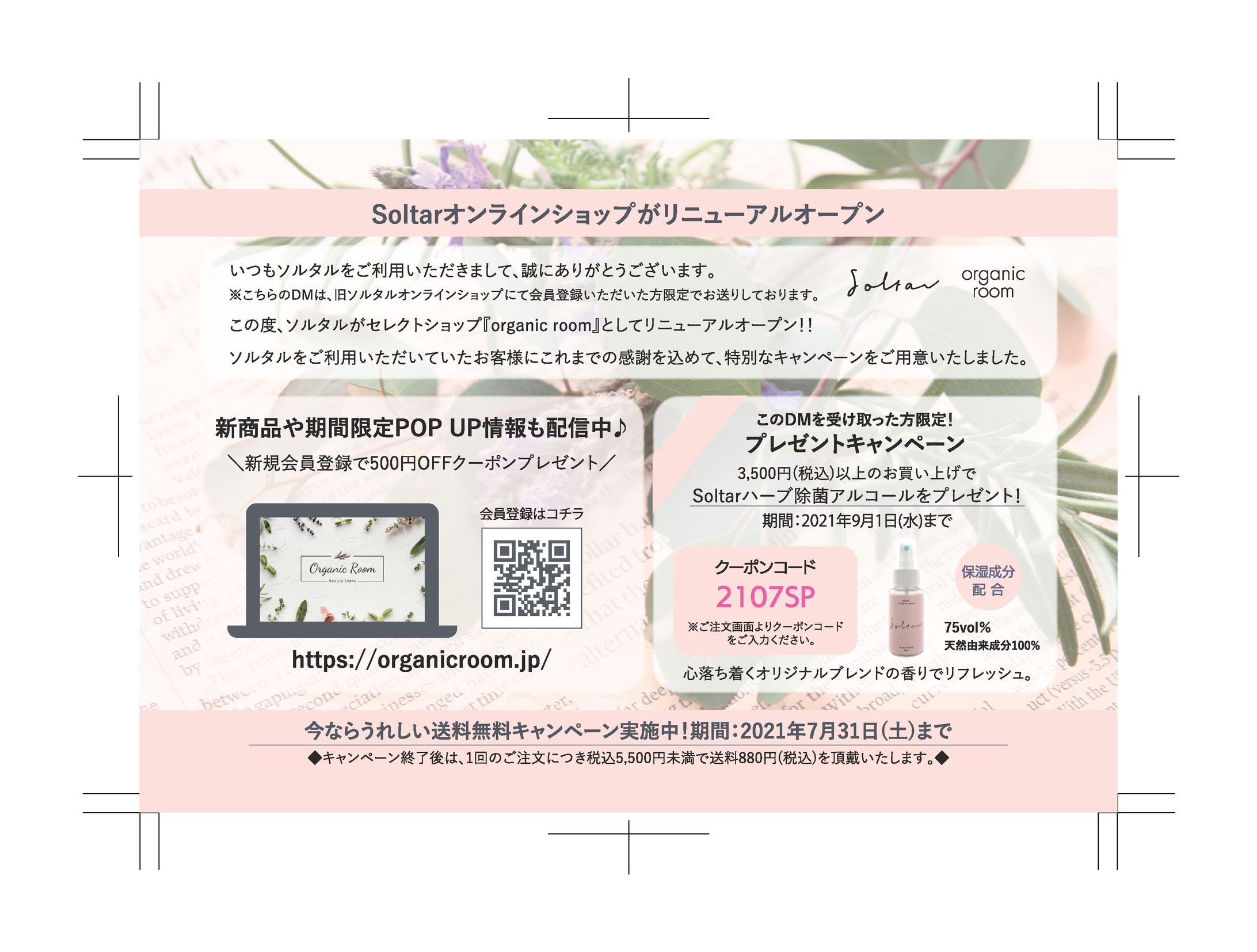 【ソルタル】サイトリニューアル告知用DM-1