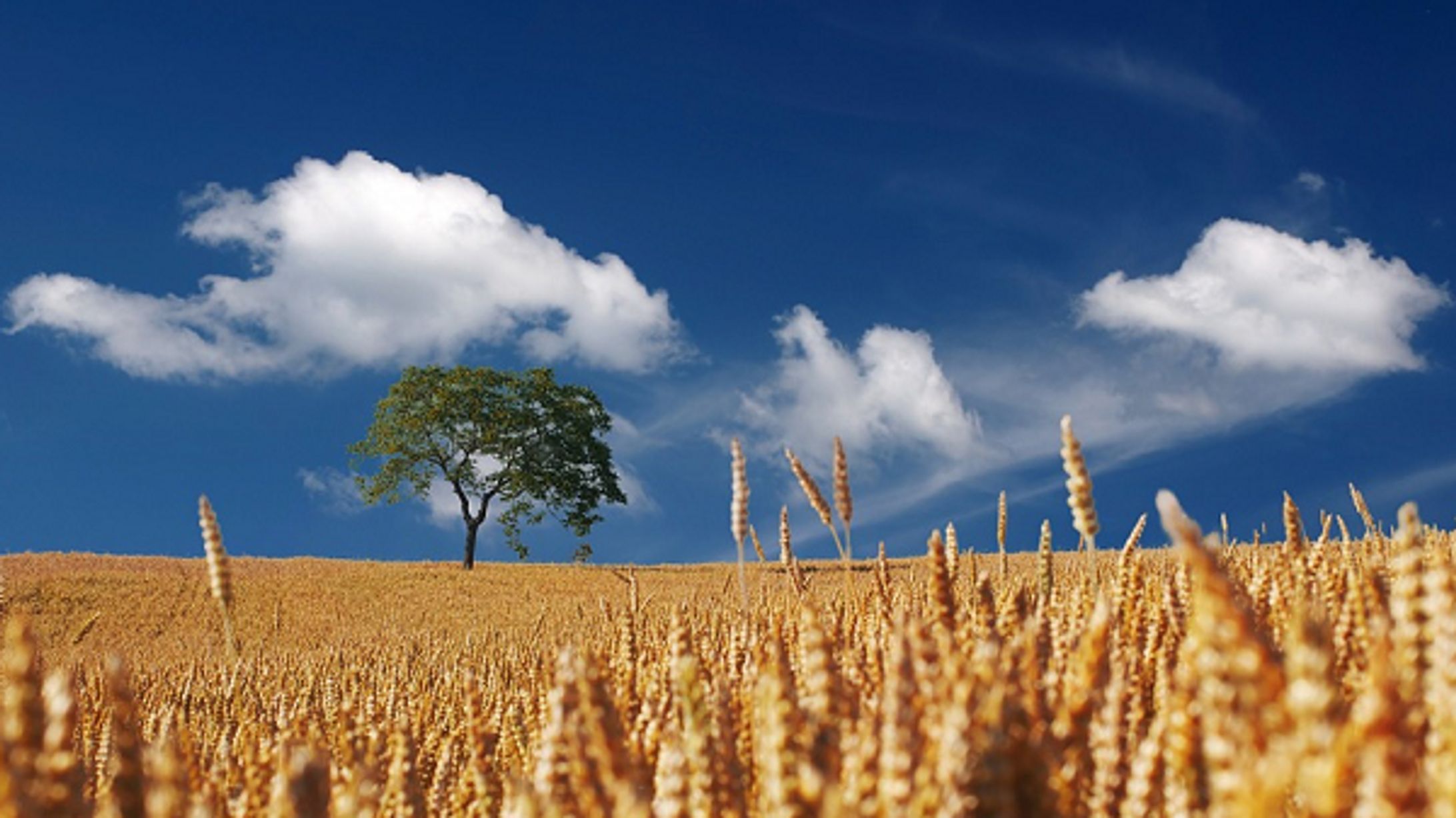 ポートフォリオよう-1