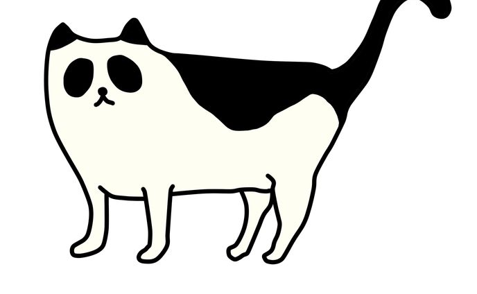 動物